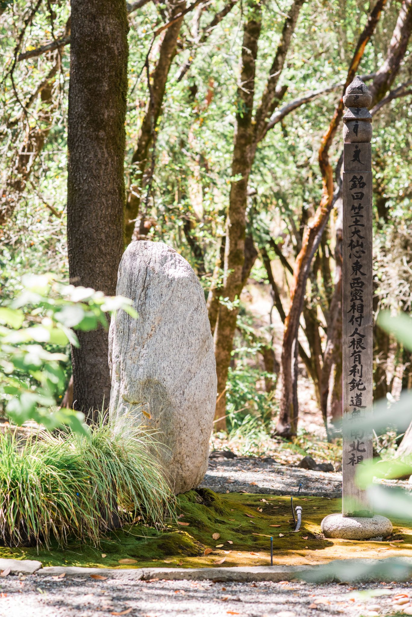 The Suzuki stupa near the fire line