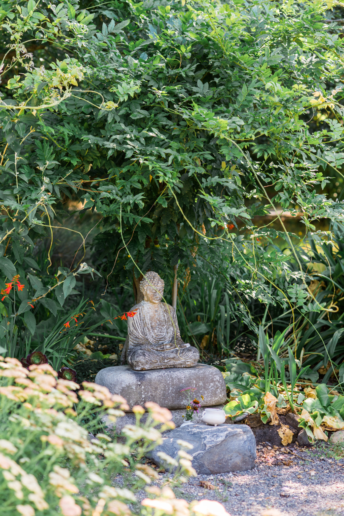 Buddha in the garden.