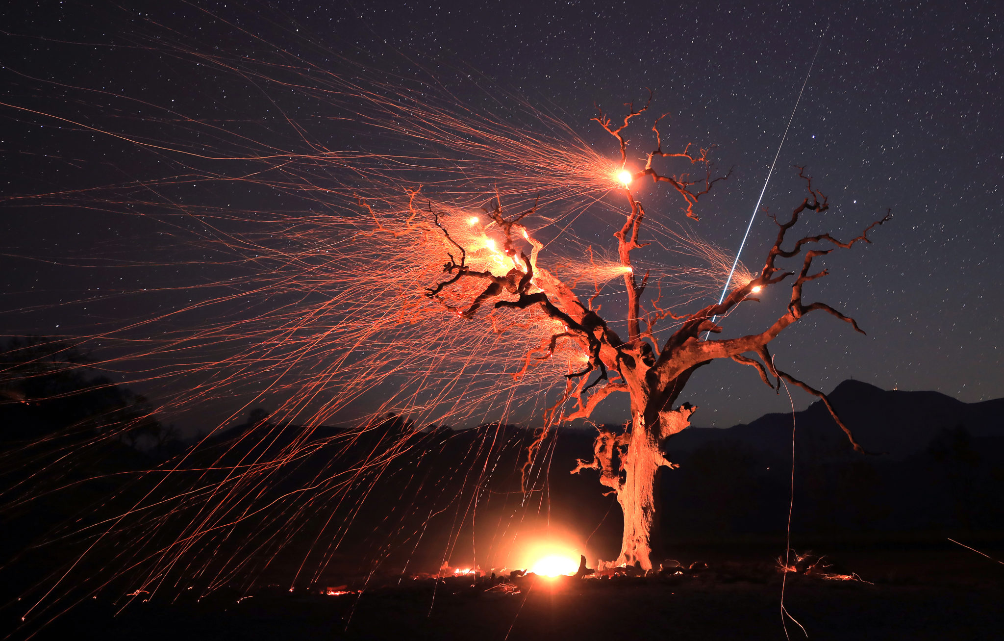 A meteor streaks across the night sky as winds create an ember cast on a valley oak tree burned by the Kincade Fire.