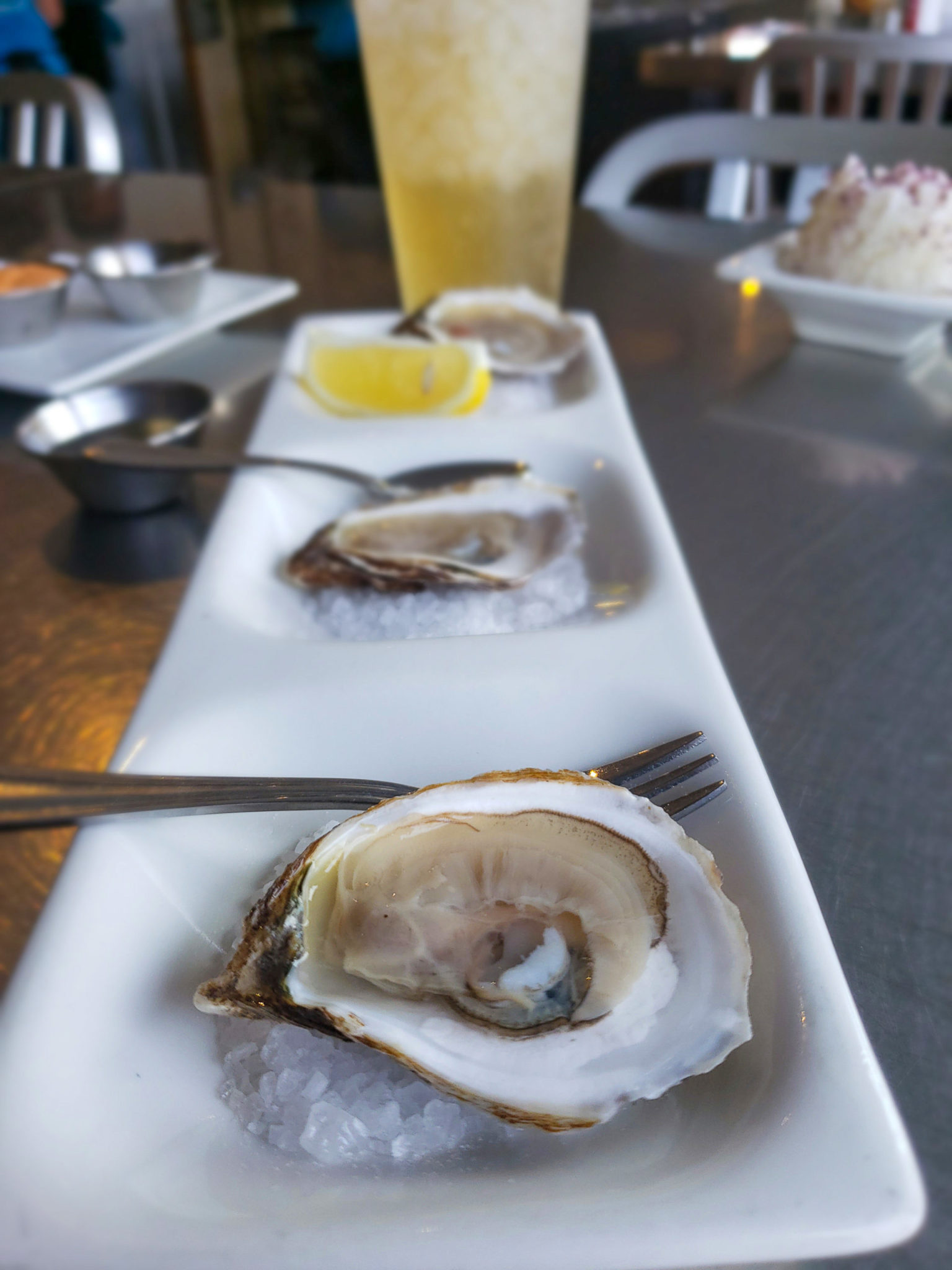 Fresh oysters at Santa Rosa Seafood in Santa Rosa. (Heather Irwin)