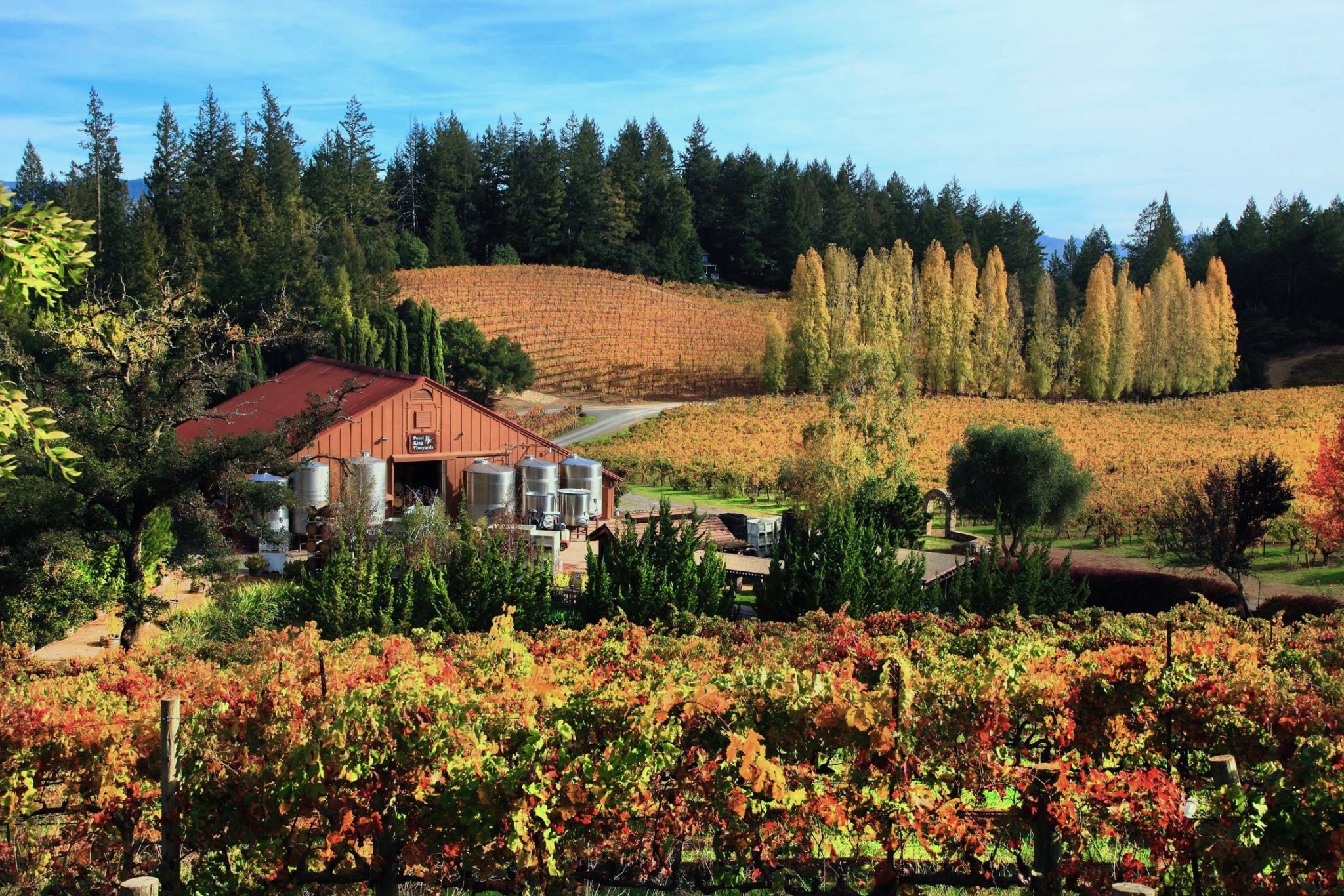 sonoma wineries to visit