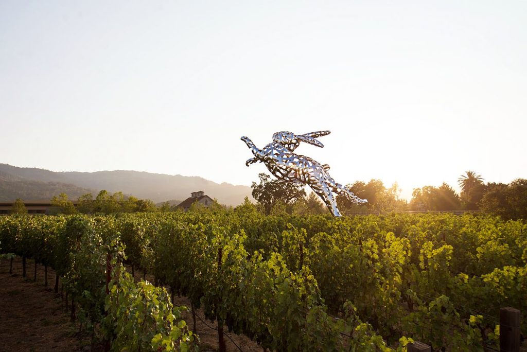 Hall Wines is one of the best Napa wineries for first-time visitors.