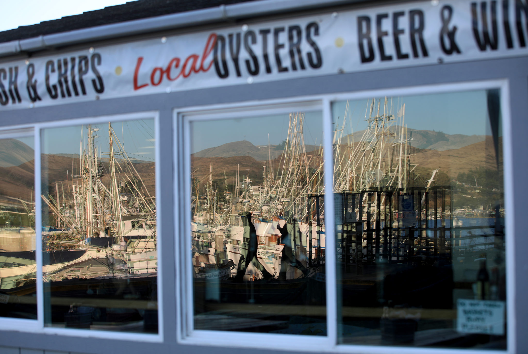 The Bodega Bay fishing fleet is reflected in the windows of Fishermna's Cove, Saturday, Nov. 23, 2019 in Bodega Bay. (Kent Porter / The Press Democrat) 2019