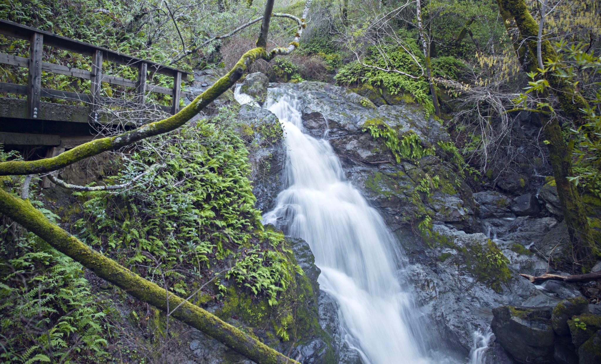 Cascade Falls at Cascade Canyon Open Space Preserve in Fairfax. (Lucy Autrey Wilson / Shutterstock)