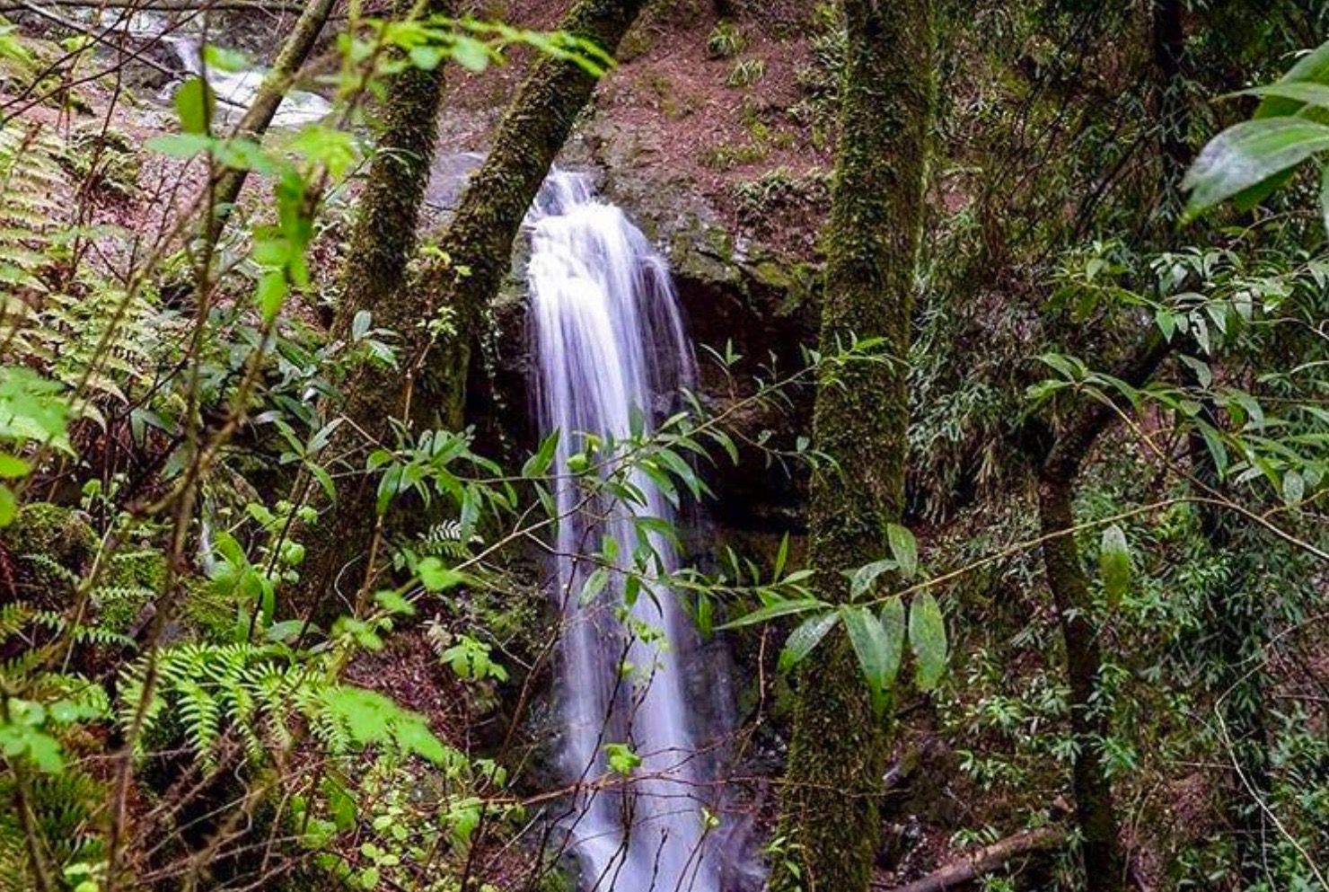 Dawn Falls at Baltimore Canyon Open Space Preserve in Kentfield. (Courtesy of Dawna Mirante / @smilinginsonoma)