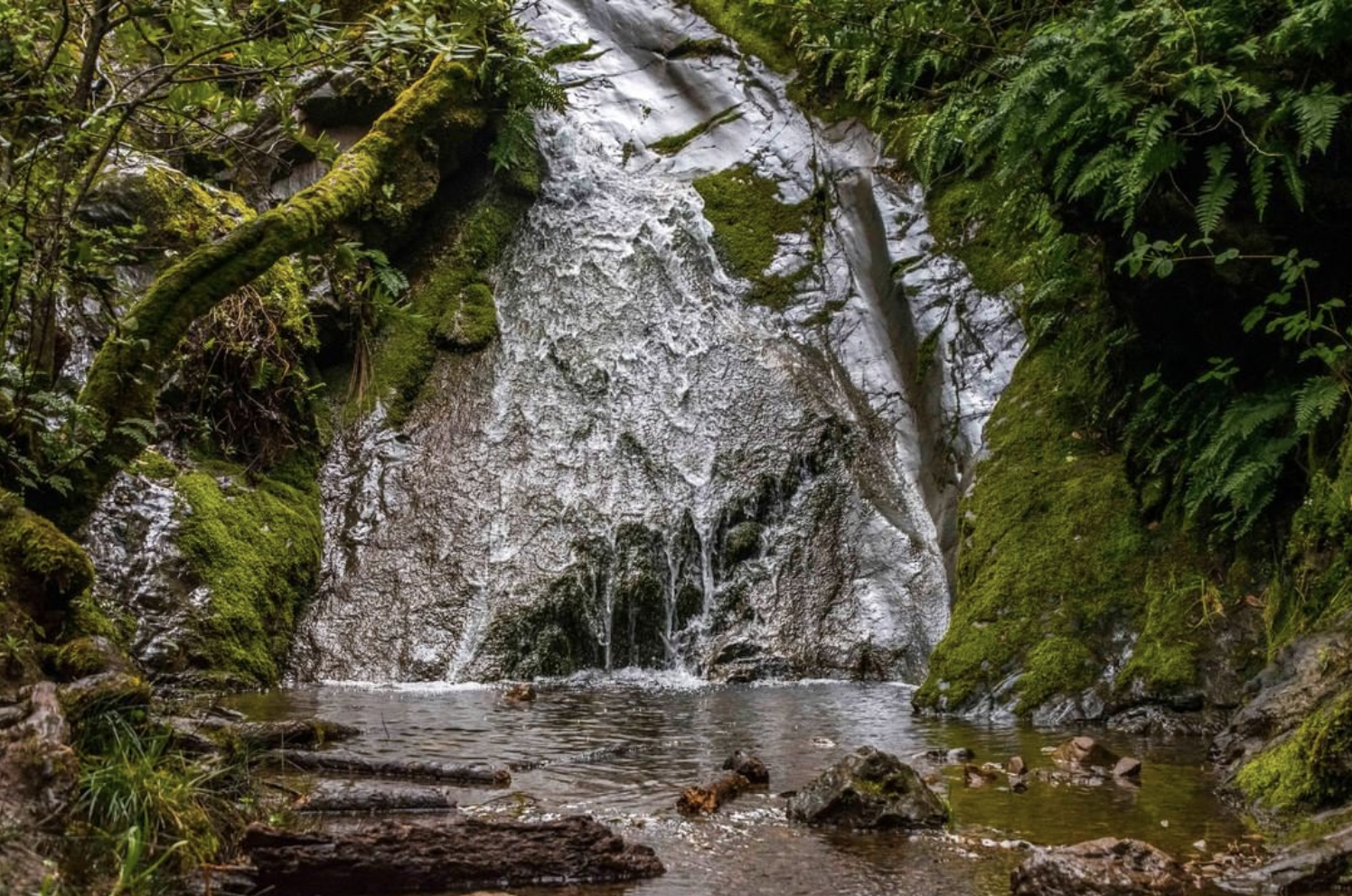 Ken Harth Waterfall at Indian Valley Open Space Preserve in Novato. (Courtesy of Rob Mirante /@hikethenwine)