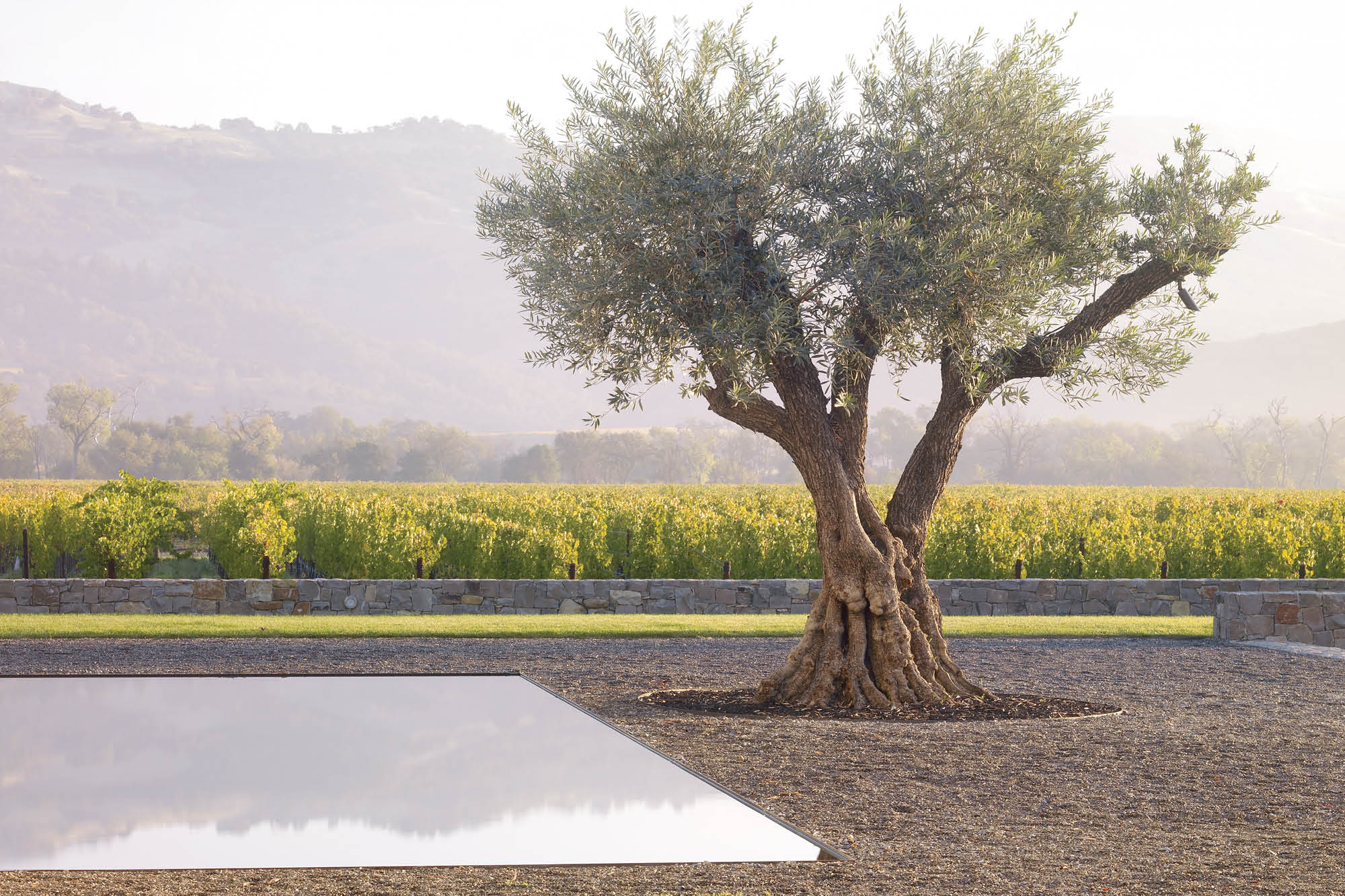 Exterior landscape was originally done at the building by Andrea Cochran, who will also update the new landscape for Cyrus. Photo: Marion Brenner and ACLA