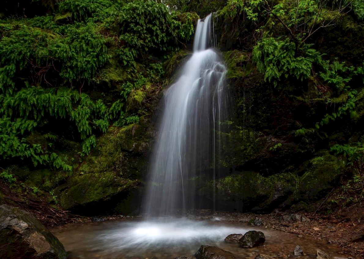 Fairway Falls at Ignacio Valley Preserve in Novato. (Courtesy of Andre Gregoire / @andre.takes.photos)