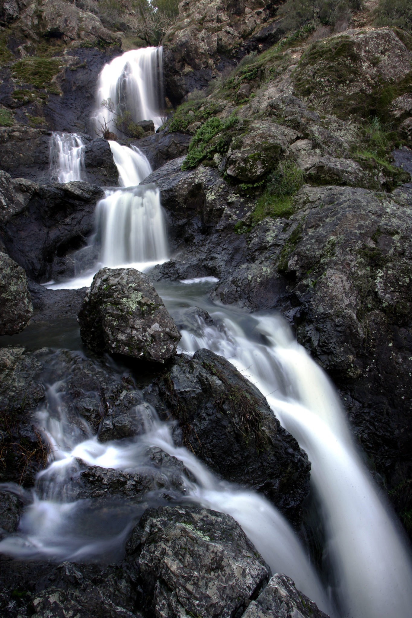 3/6/2005: 78: Carson Falls: Three waterfalls can be found within 8 miles of Fairfax -- Cascade, Cataract and this rocky flow. Catch the trailhead at the 3.8-mile marker along the Bolinas-Fairfax Road. Huff your way up 350 feet, then descend another 450 feet for a rewarding view of the falls as they drop 150 feet over four tiers. jimc