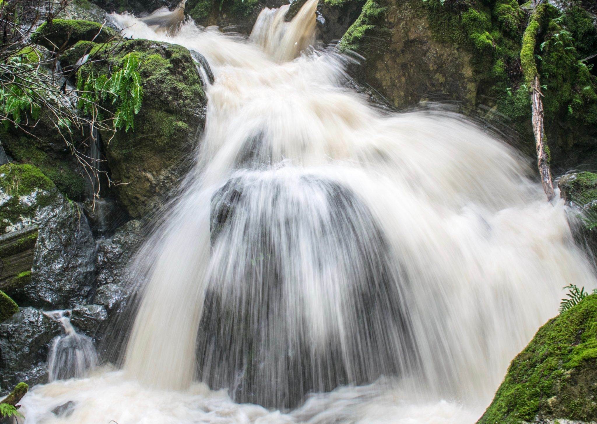 Steep Ravine Falls at Mount Tamalpais State Park in Mill Valley. (Alex Gotz / Shutterstock)