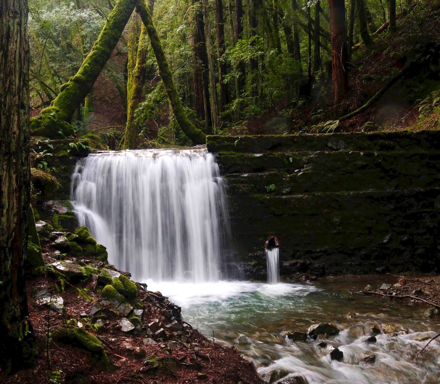 Tucker Trail Falls at Baltimore Canyon Open Space Preserve in Kentfield. (Courtesy of Scott Smith / @ideasyndicate)