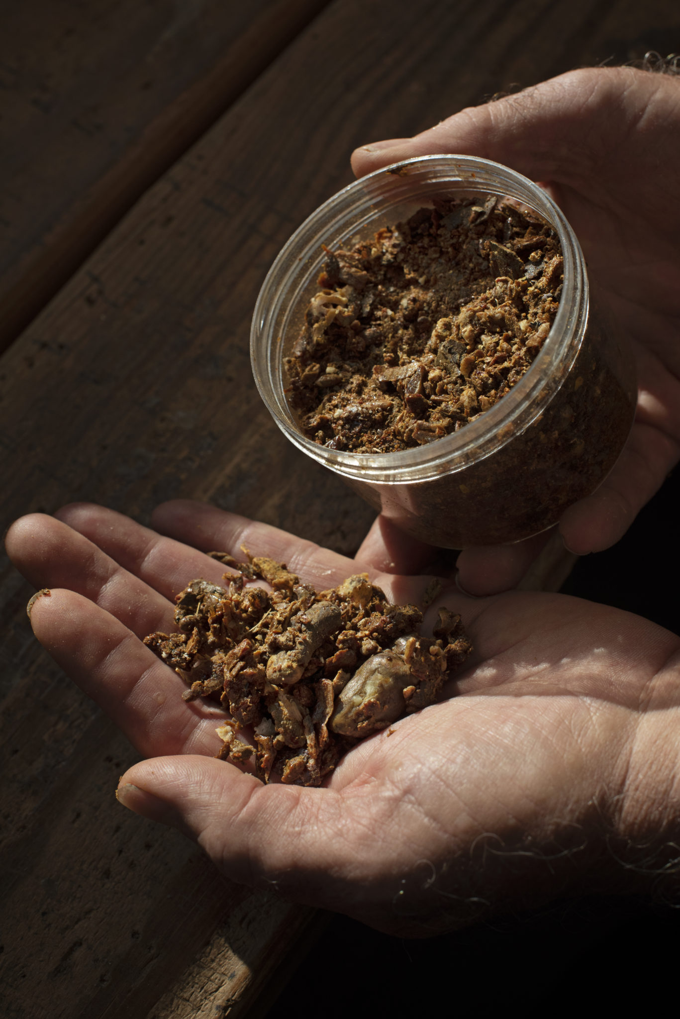 John McGinnis holding a pile of propolis, the resinous material collected by bees from the buds of trees and used as a cement in repairing and maintaining the hive at Goah Way Ranch in Petaluma, California on January 26, 2010. (Photo: Erik Castro/for Sonoma Magazine)