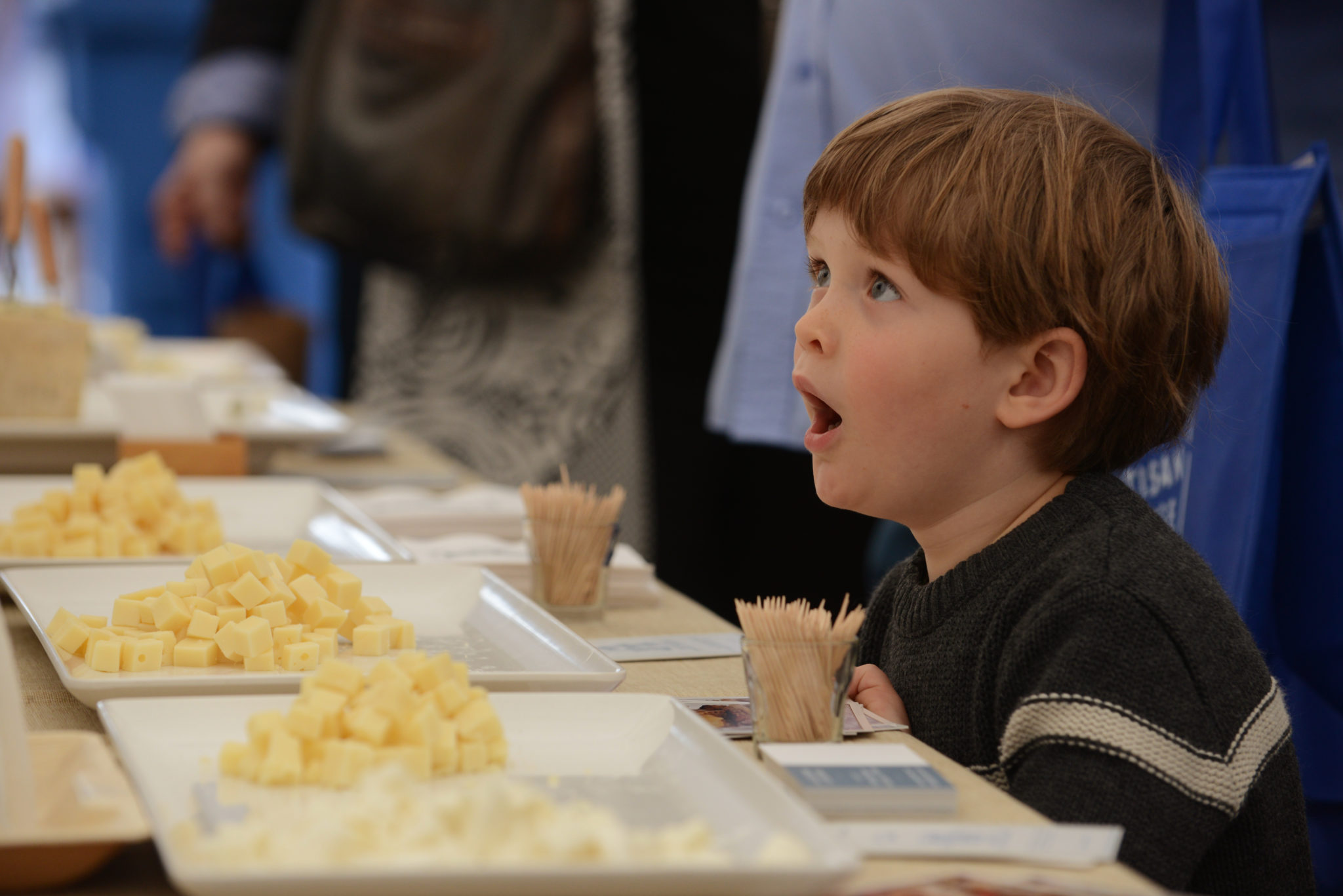 Loch Leiser, 4, of Davis, California near a sampling of cheeses from Point Reyes Farmstead Cheese Company during the 11th annual California Artisan Cheese Festival held at the Sheraton Sonoma County in Petaluma Sunday. March 26, 2017. (Erik Castro/for The Press Democrat)