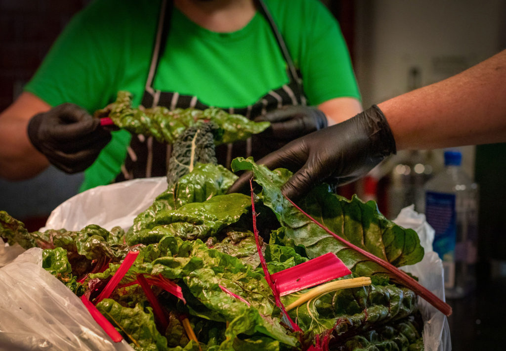 Greens from Farm to Pantry delivered to Pizzando Restaurant for meals donated to families. Photo: Bel Montania