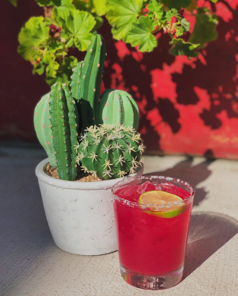 The Best Sonoma and Napa Spots for Margaritas To Go Project Isabella