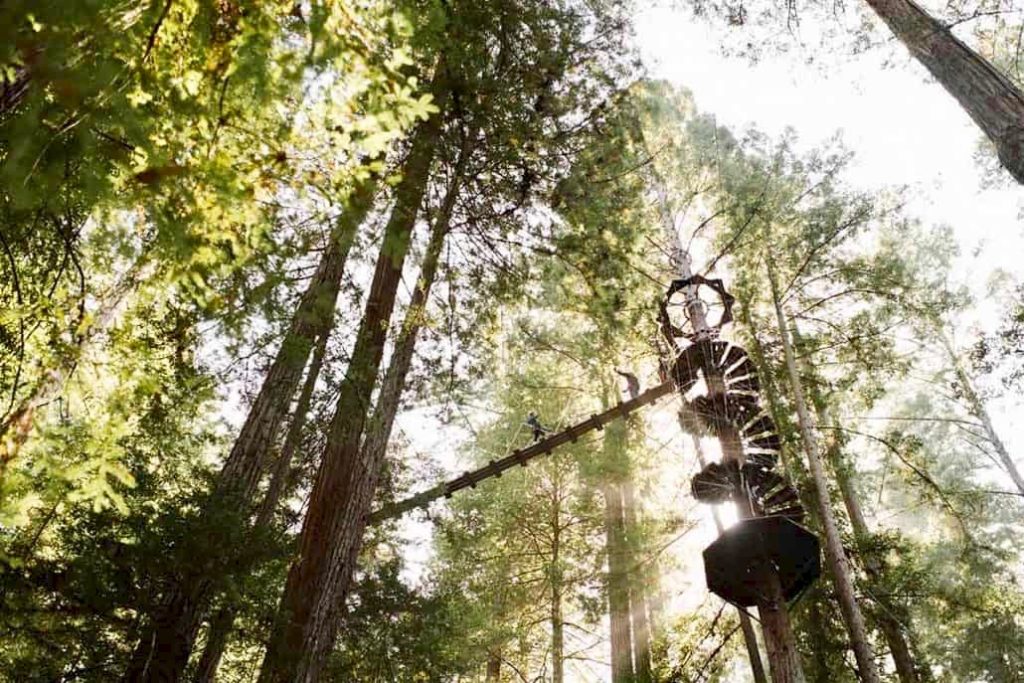 At the end of the zip line tour, a final, private zip line delivers adventure seekers to a hiking trail. It leads the way to a hillside bridge that allows for easy walking access to the treetops. Guests’ bags and snacks will be waiting in the treehouses. (Courtesy of Sonoma Canopy Tours)