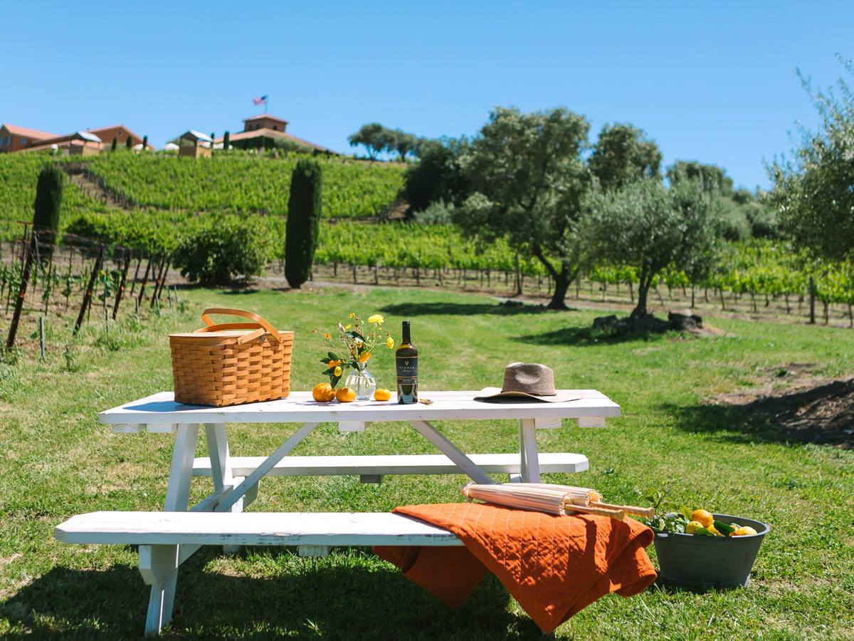 Picnic at Viansa Winery in Sonoma. (Courtesy of Viansa Winery)