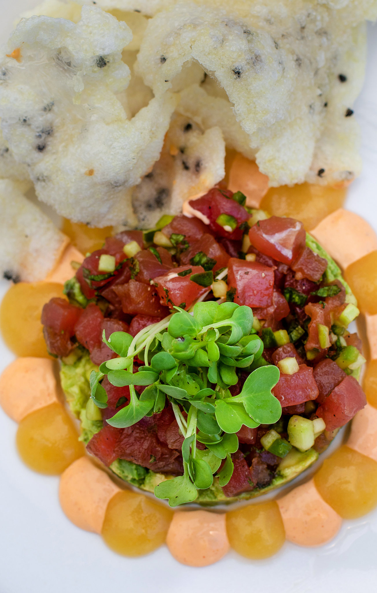 Tuna tartare with Asian pear coulis, avocado, won tons at Blue Ridge Kitchen in Sebastopol. Heather Irwin/PD
