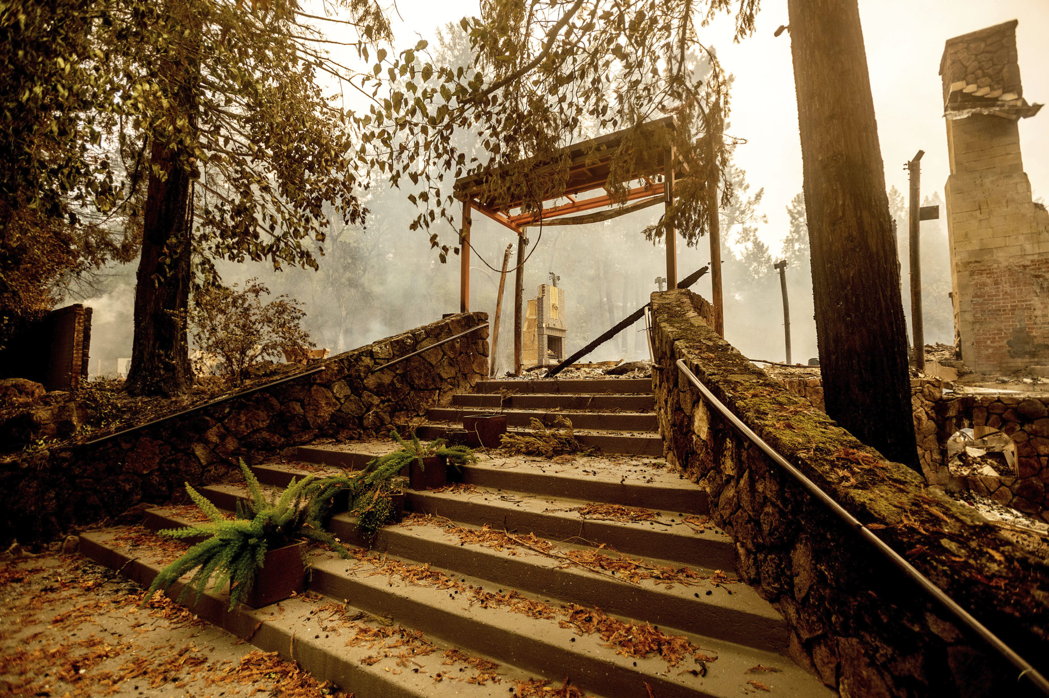 memories-of-meadowood-a-food-writer-recalls-a-once-in-a-lifetime
