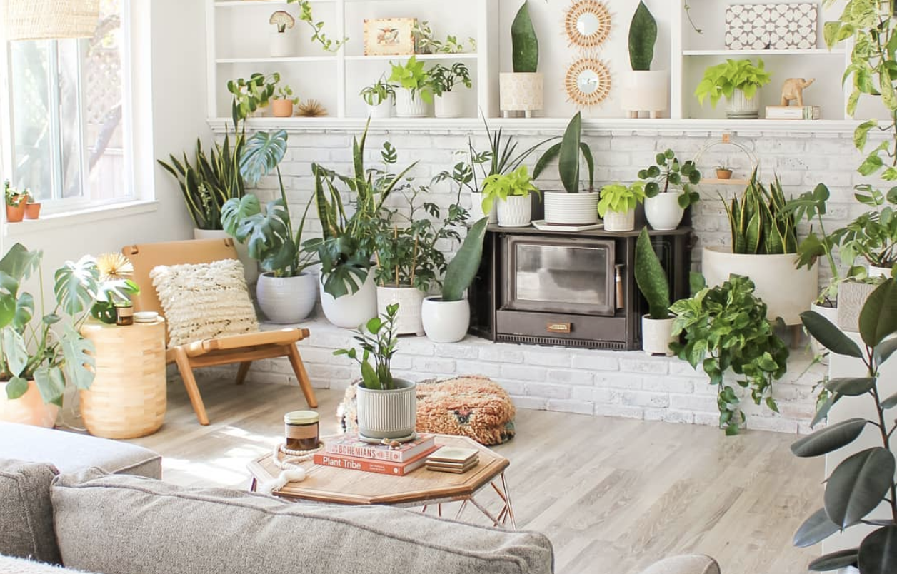 Lindsay Wallstrum of Leaf + Lolo creates an indoor escape with plants. (Courtesy of Lindsay Wallstrum/Leaf and Lolo)
