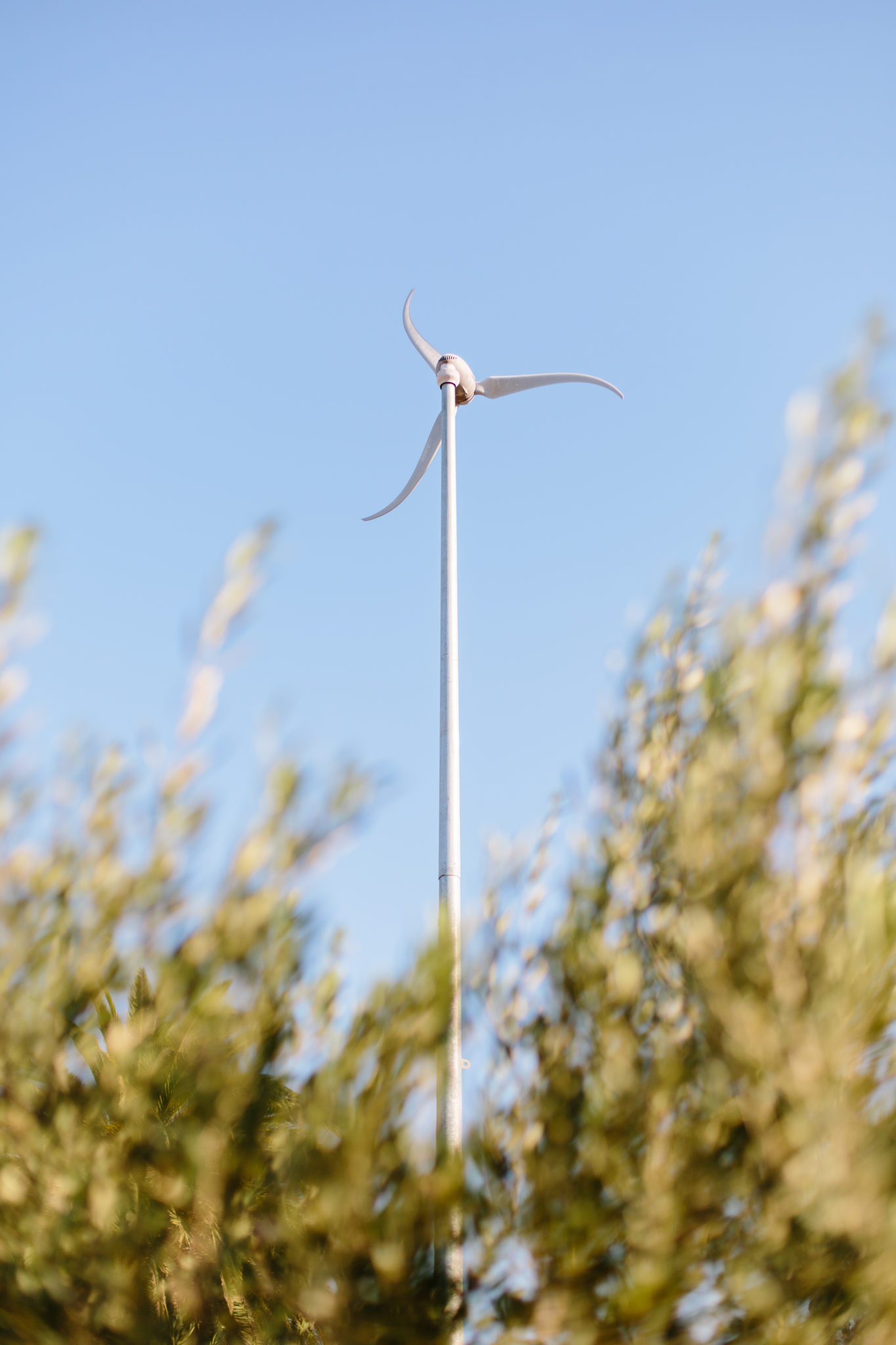 In 2009, Anaba Wines became the first winery in Northern California to utilize wind to help power operations. (Los Heffernans Photography)