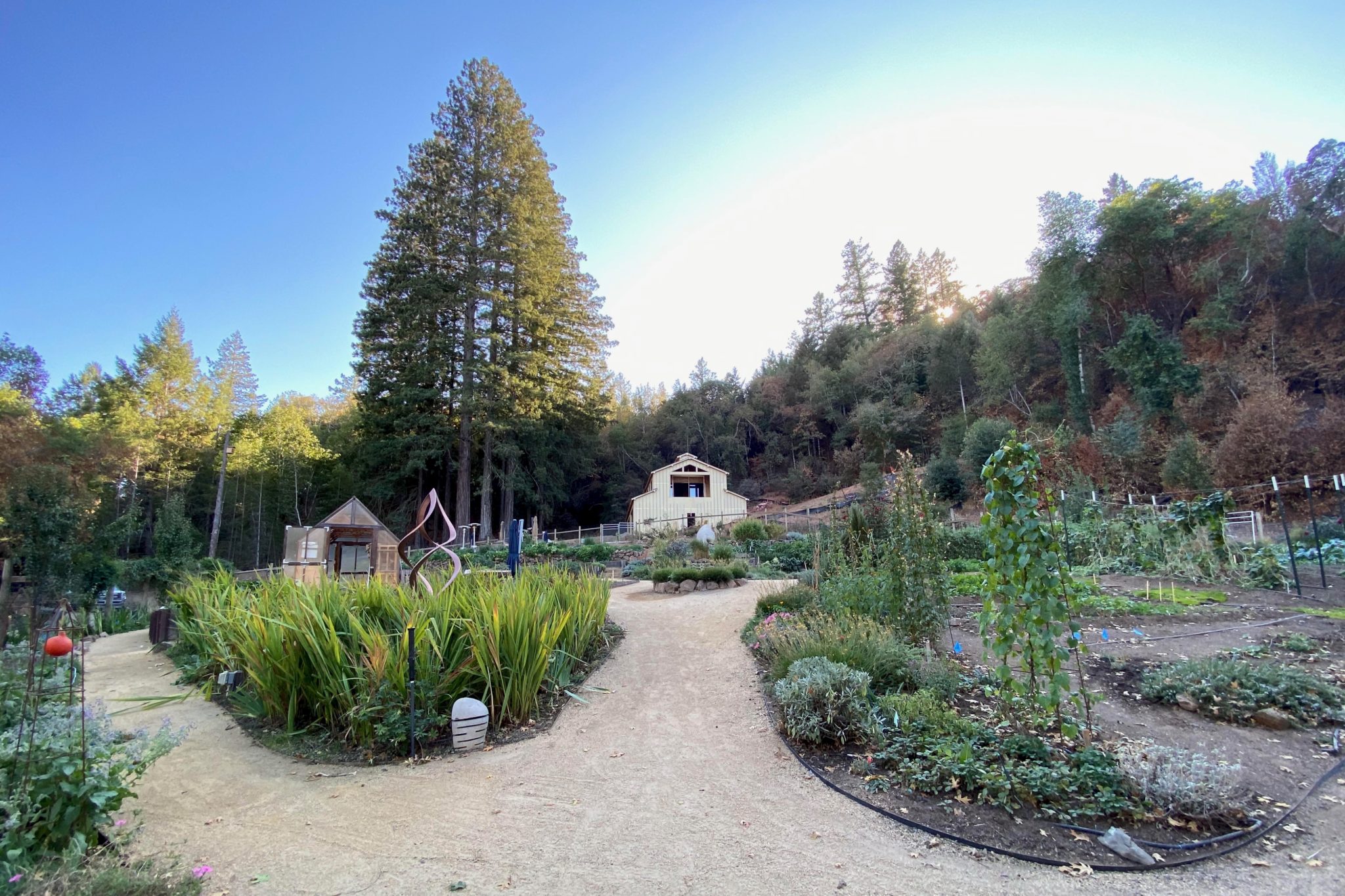 The biodynamic farm at NewTree Ranch in Healdsburg. (Jess Lander / Sonoma Magazine)