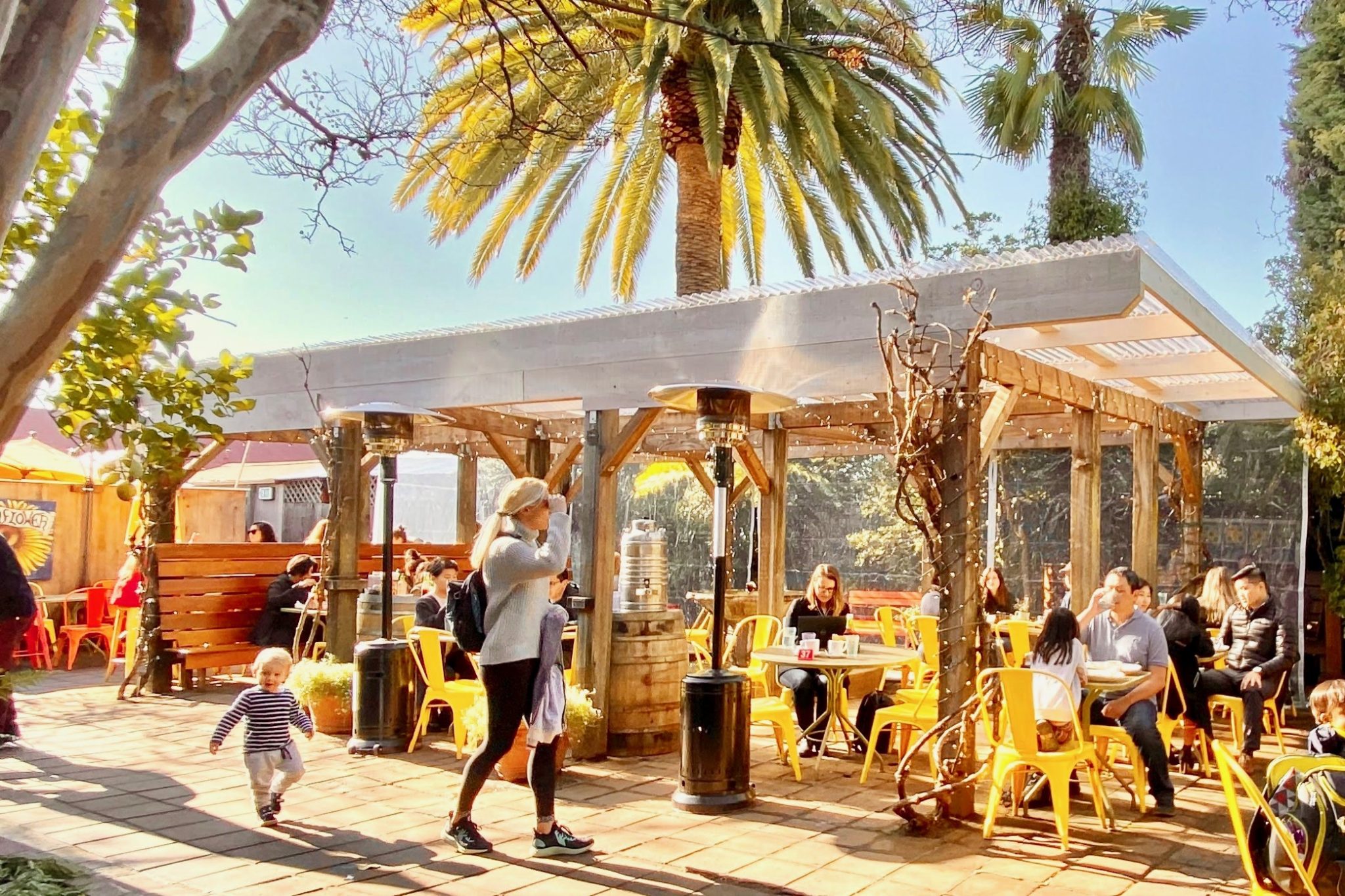 How to Spend A Perfect Day in Sonoma