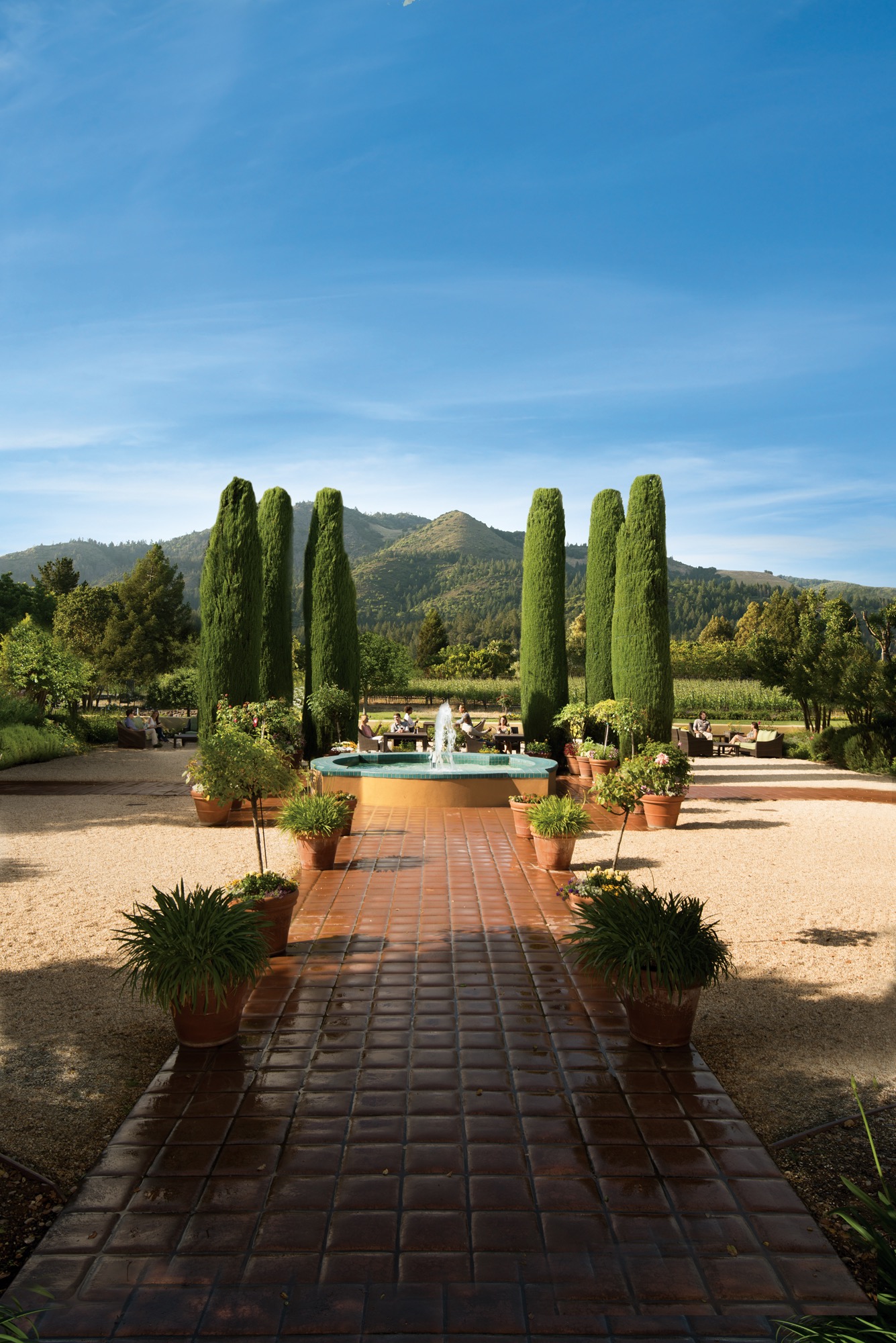 Picnic at Landmark Vineyards