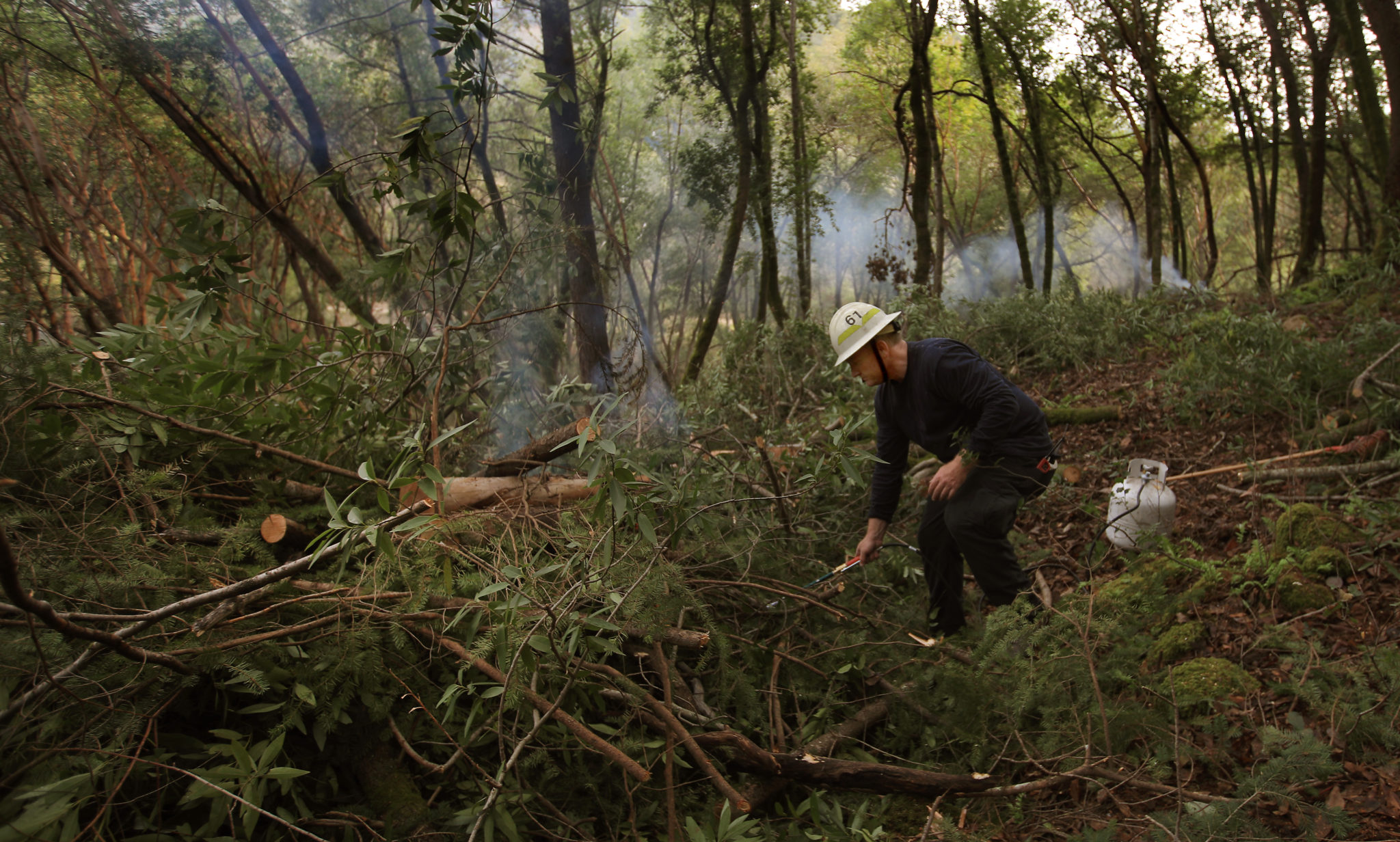 Marshall Turbeville of Northern Sonoma County Fire uses a propane torch to dry out and ignite trees and forest floor debris as part of Northern Sonoma County Fire's fuel reduction program, Jan. 12, 2021. (Kent Porter / The Press Democrat) 