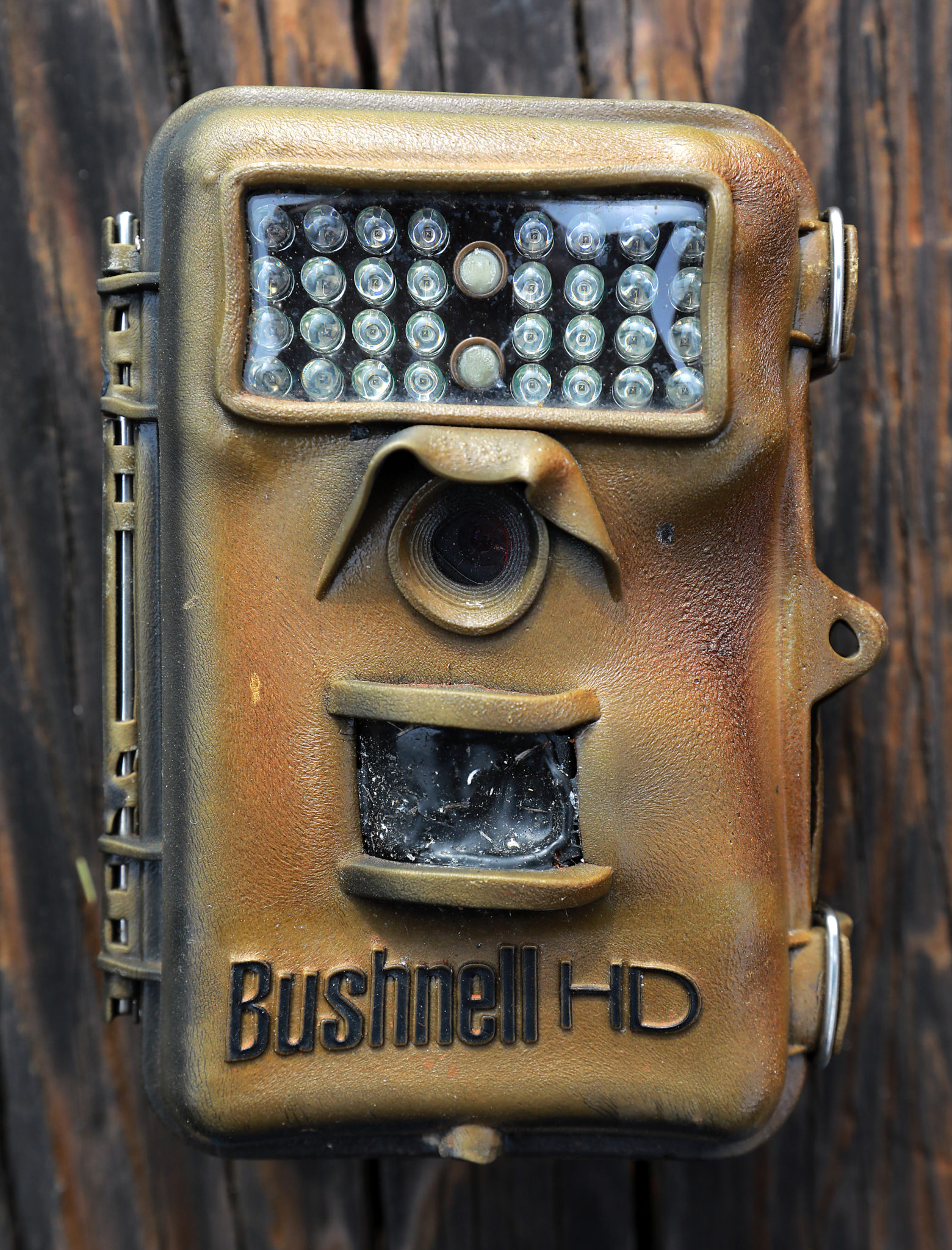 One of the trail cameras destroyed by Tubbs fire on the Pepperwood Preserve northeast of Santa Rosa. (photo by John Burgess/The Press Democrat)