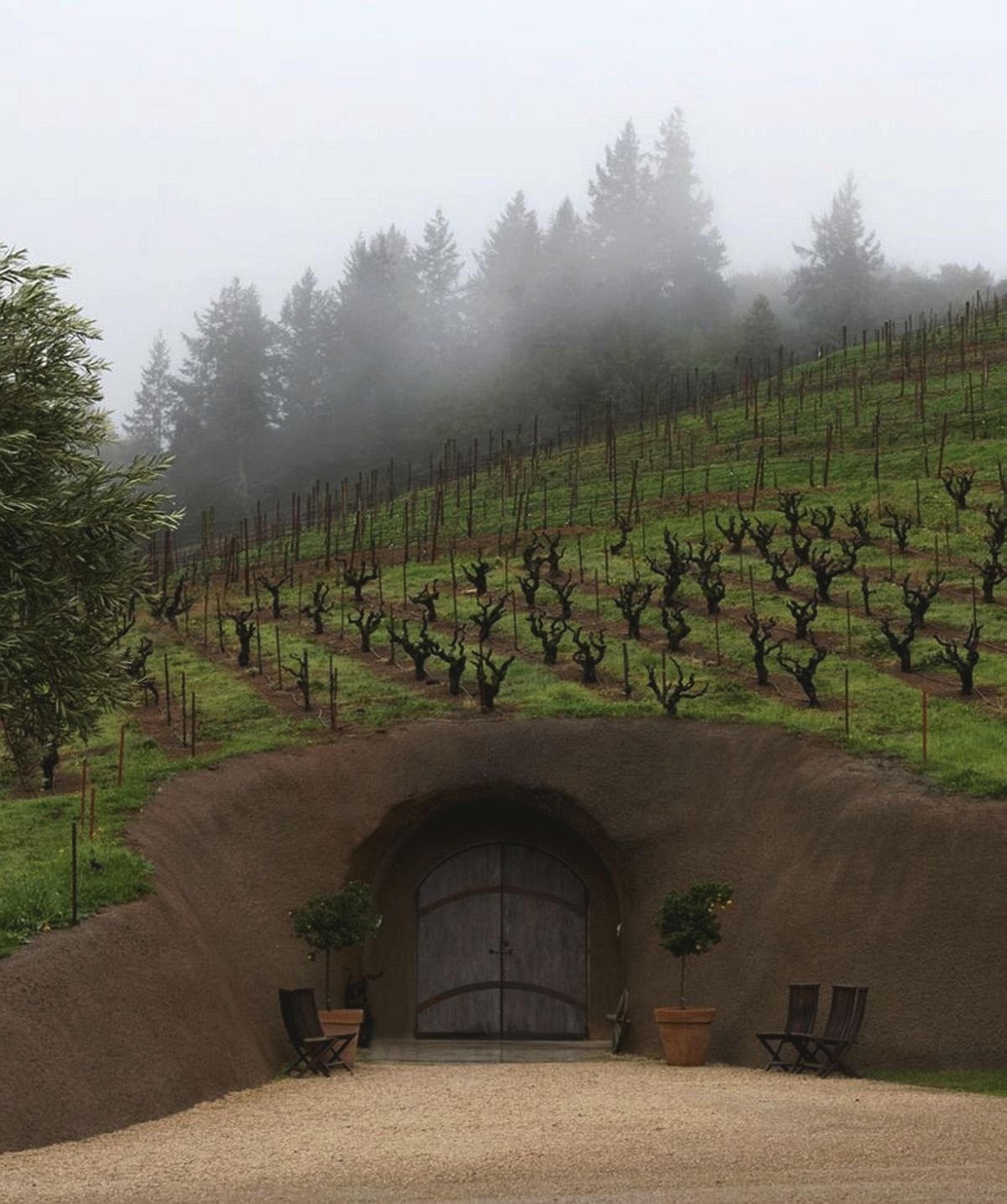 Bella Vineyards &amp; Wine Caves