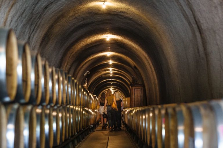 Best Sonoma Wineries for FirstTime Visitors, 2022 Edition Sonoma