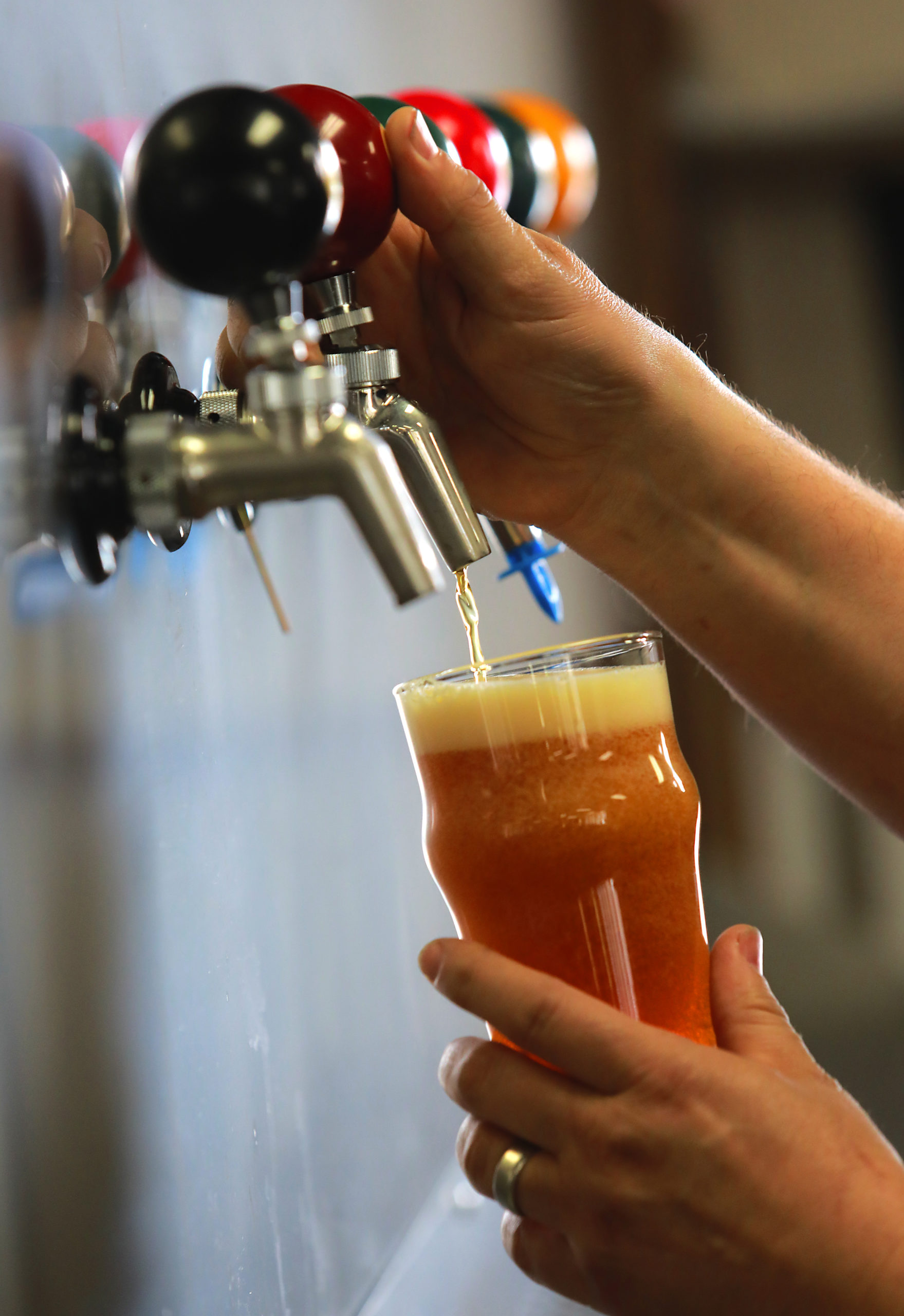 The taps at the new Old Possum Brewing Company in Santa Rosa will officially pour for the public in Thursday, April 12, 2018. (photo by John Burgess/The Press Democrat)