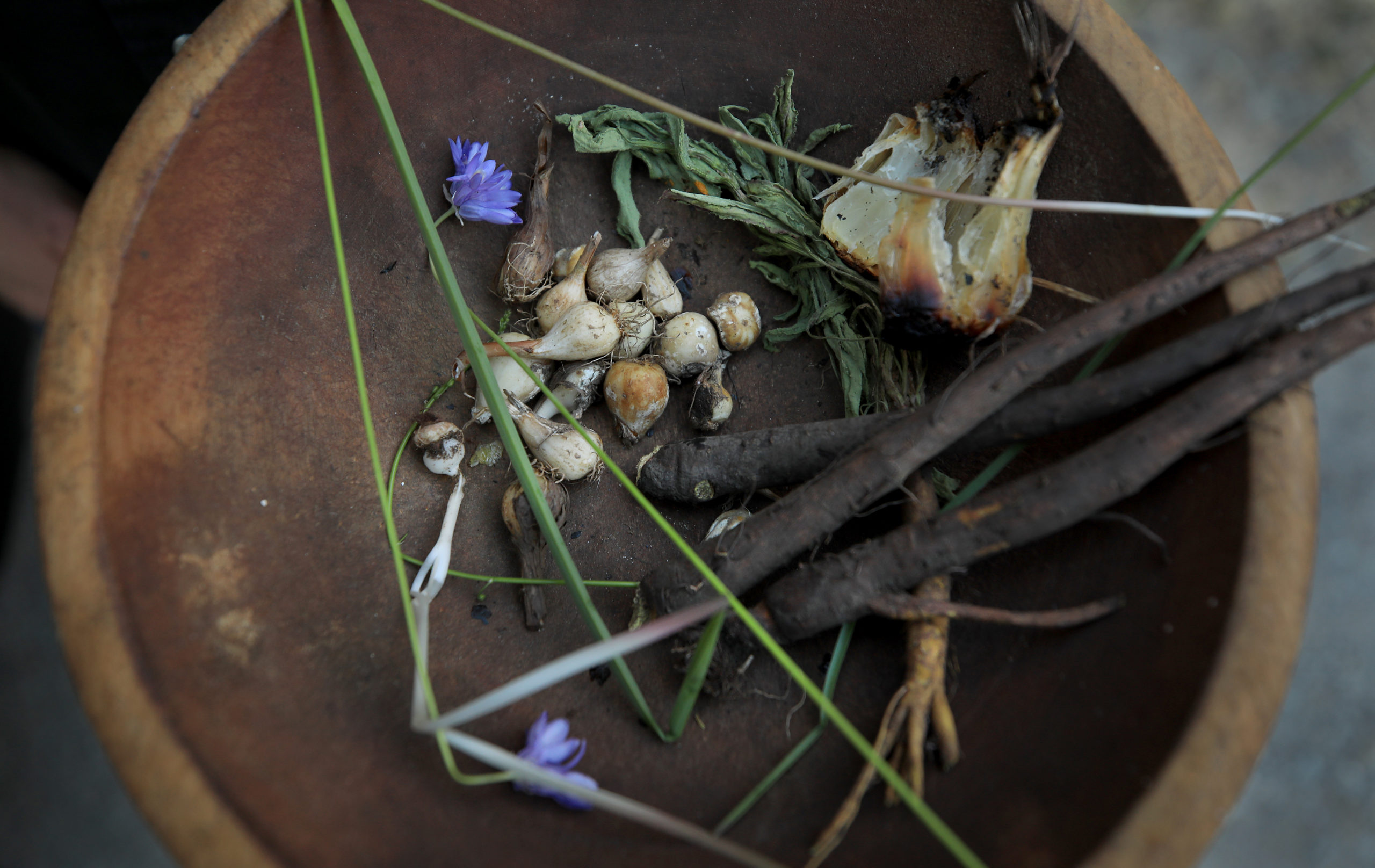 Foraged items from Coby Liebman's walk through the Bohemia Preserve. (Kent Porter / The Press Democrat) 