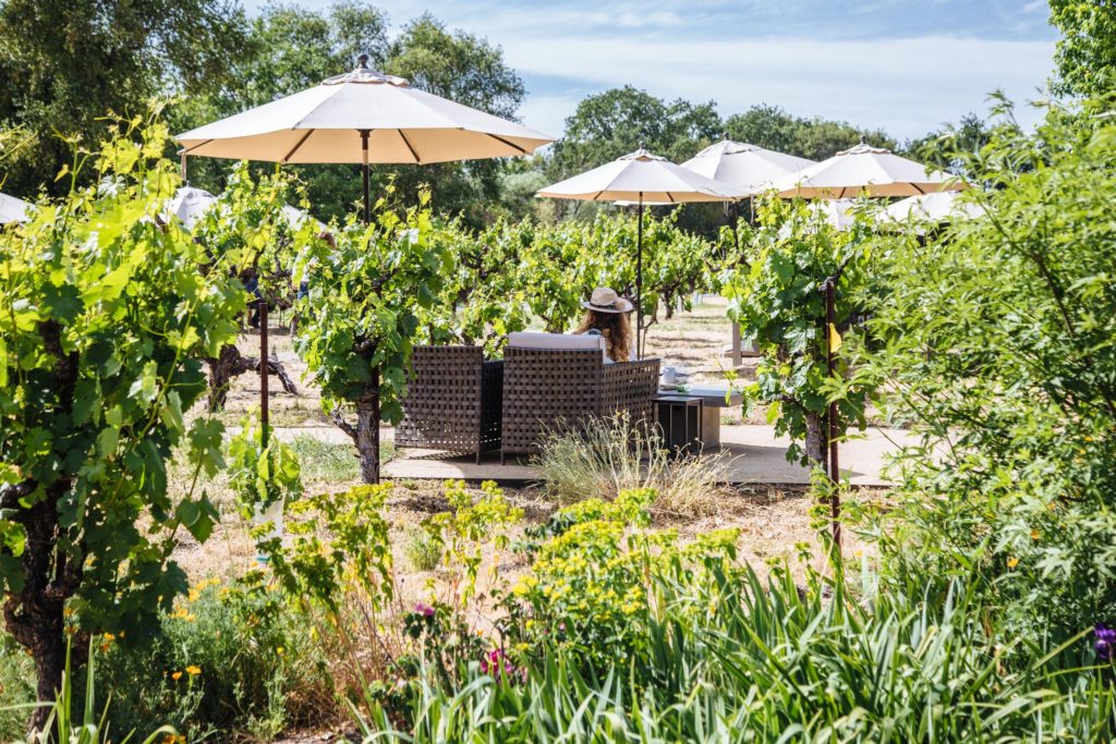 Best Sonoma Wineries for FirstTime Visitors Sonoma Magazine