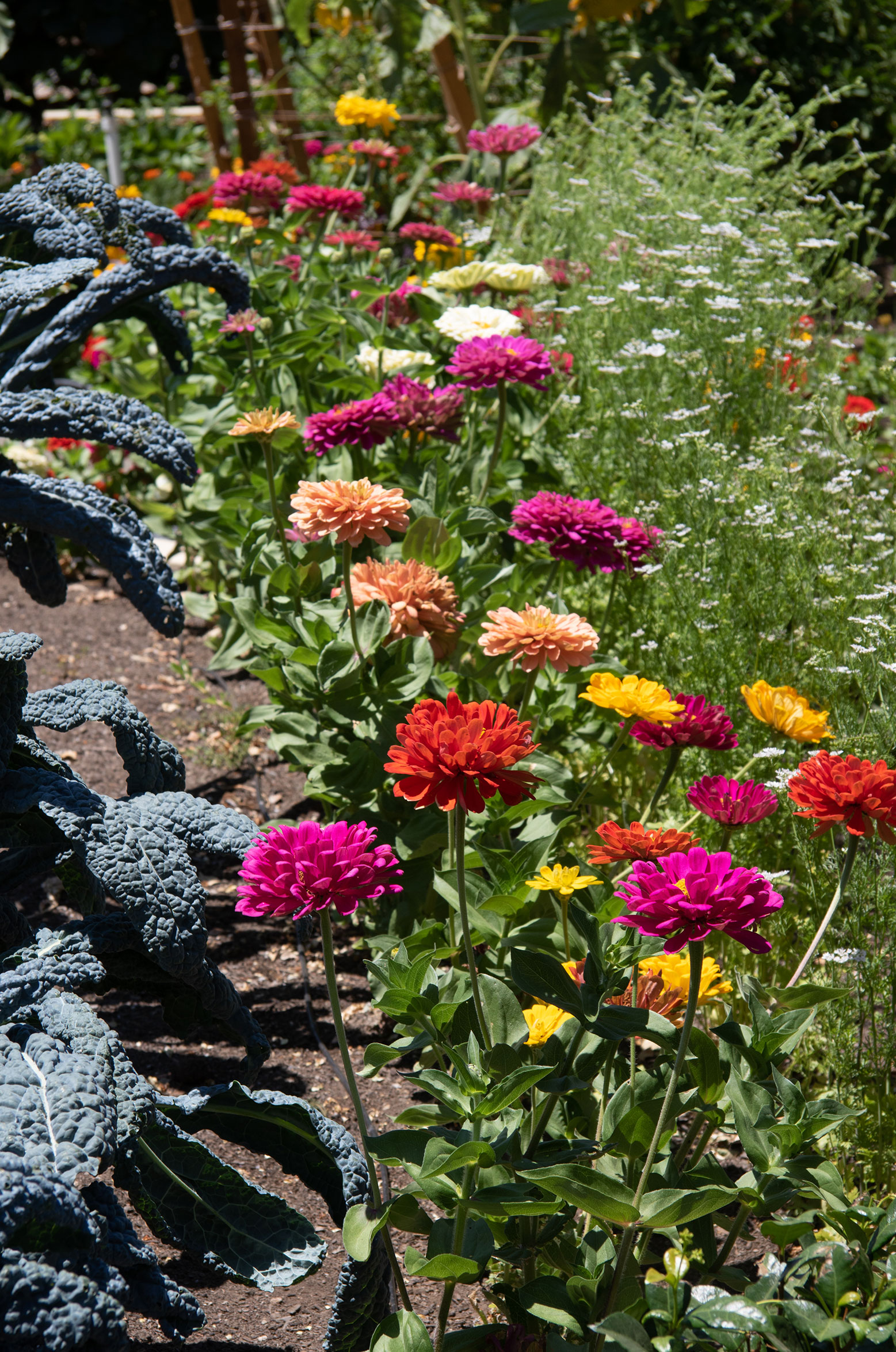 Outdoor gardens at Ferrari Carano Winery. Heather Irwin