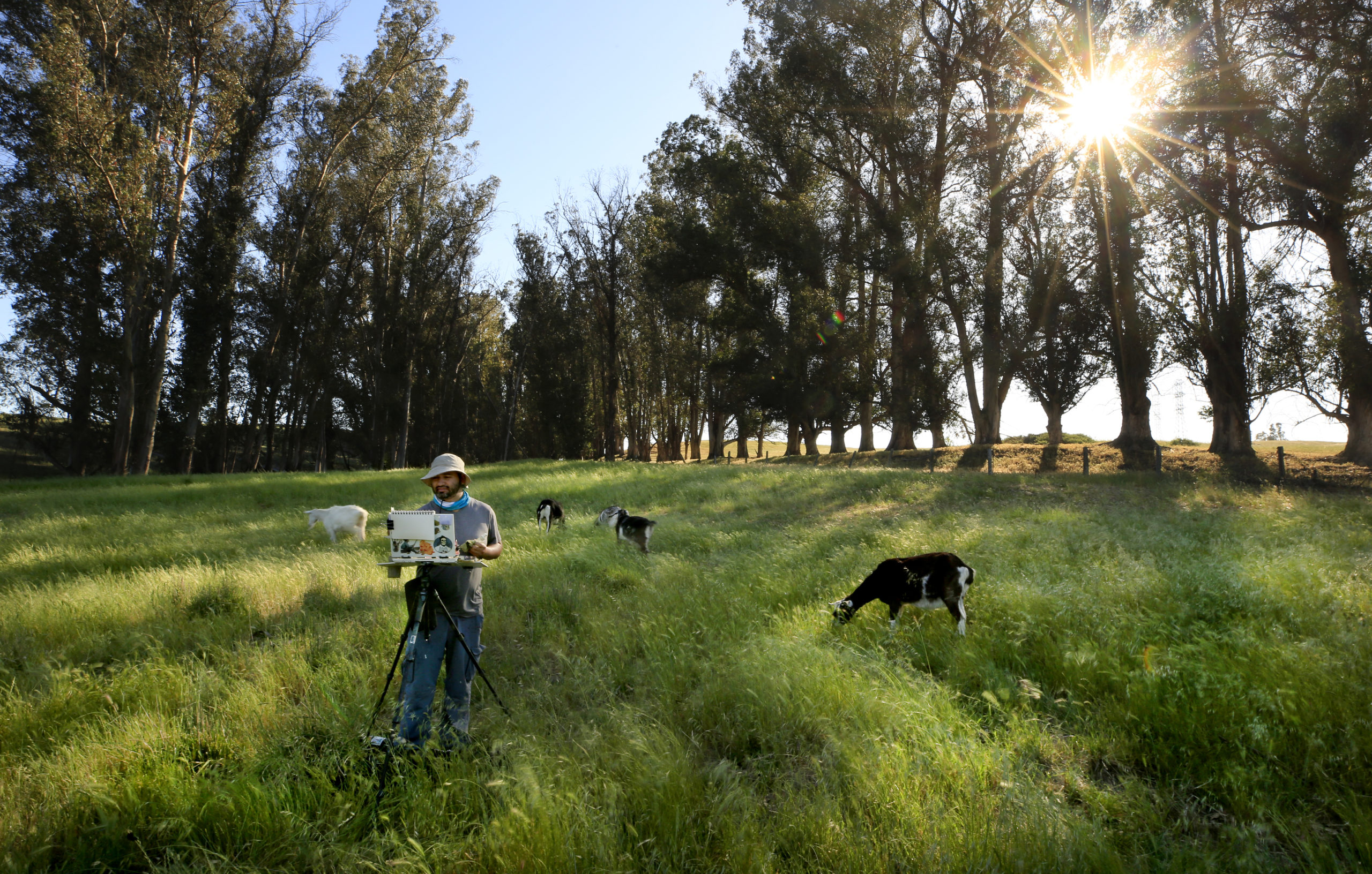 Plein air painter Sergio Lopez uses Tolay Regional Park in Lakeville as a backdrop for one of his paintings. (Kent Porter / The Press Democrat)