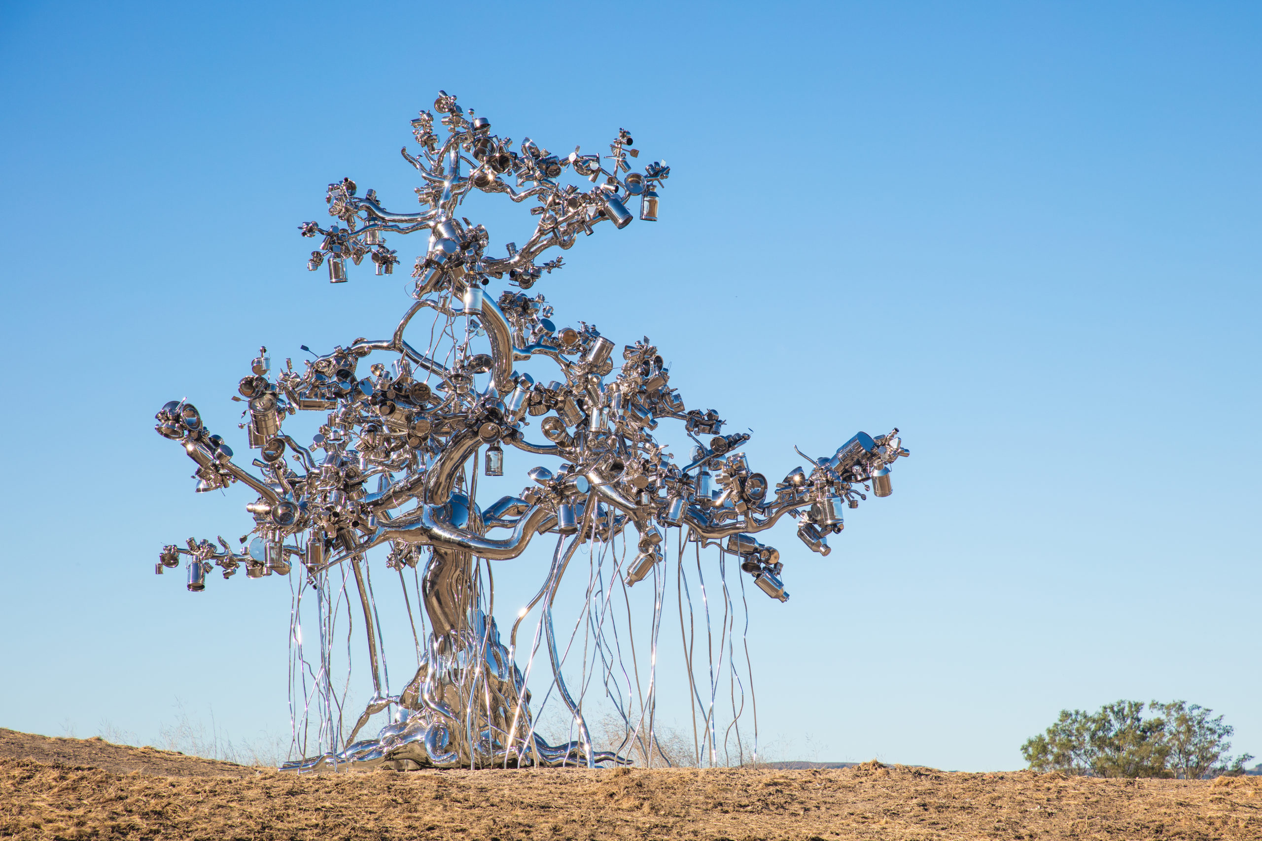 People Tree, 2017, by Subodh Gupta at The Donum Estate in Sonoma. (Robert Berg)