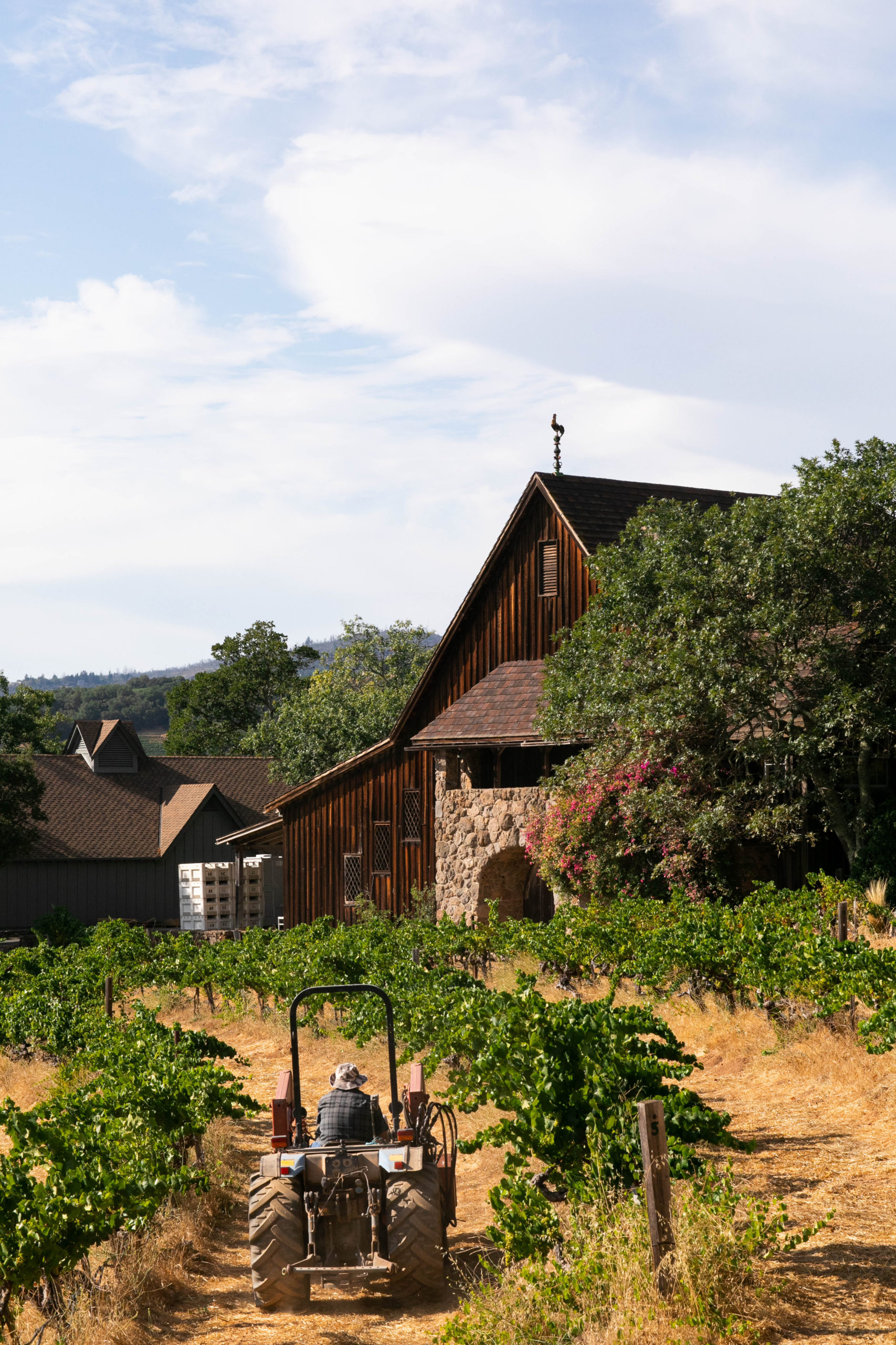 Hanzell Farm & Vineyards in Sonoma. (Eileen Roche/for Sonoma Magazine)
