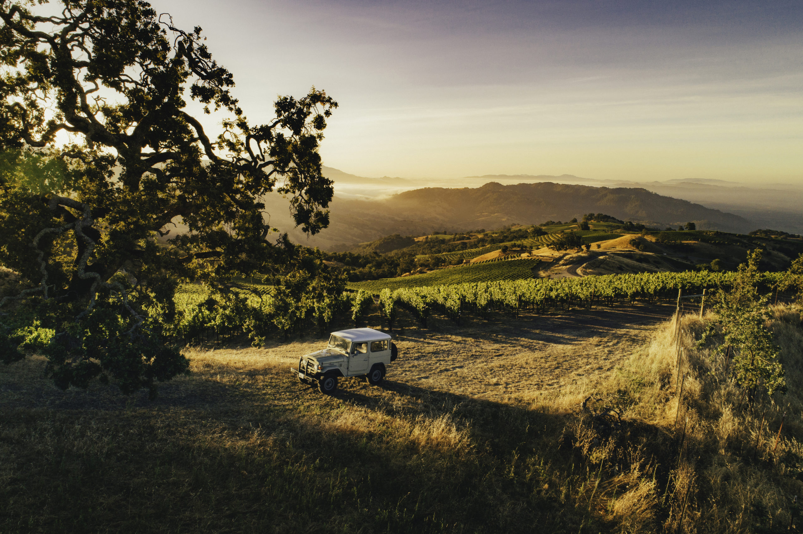 A Ranch Rover travels through the Rockfall Vineyard at Stonestreet Estate Vineyards in Healdsburg. (Stonestreet Estate Vineyards)