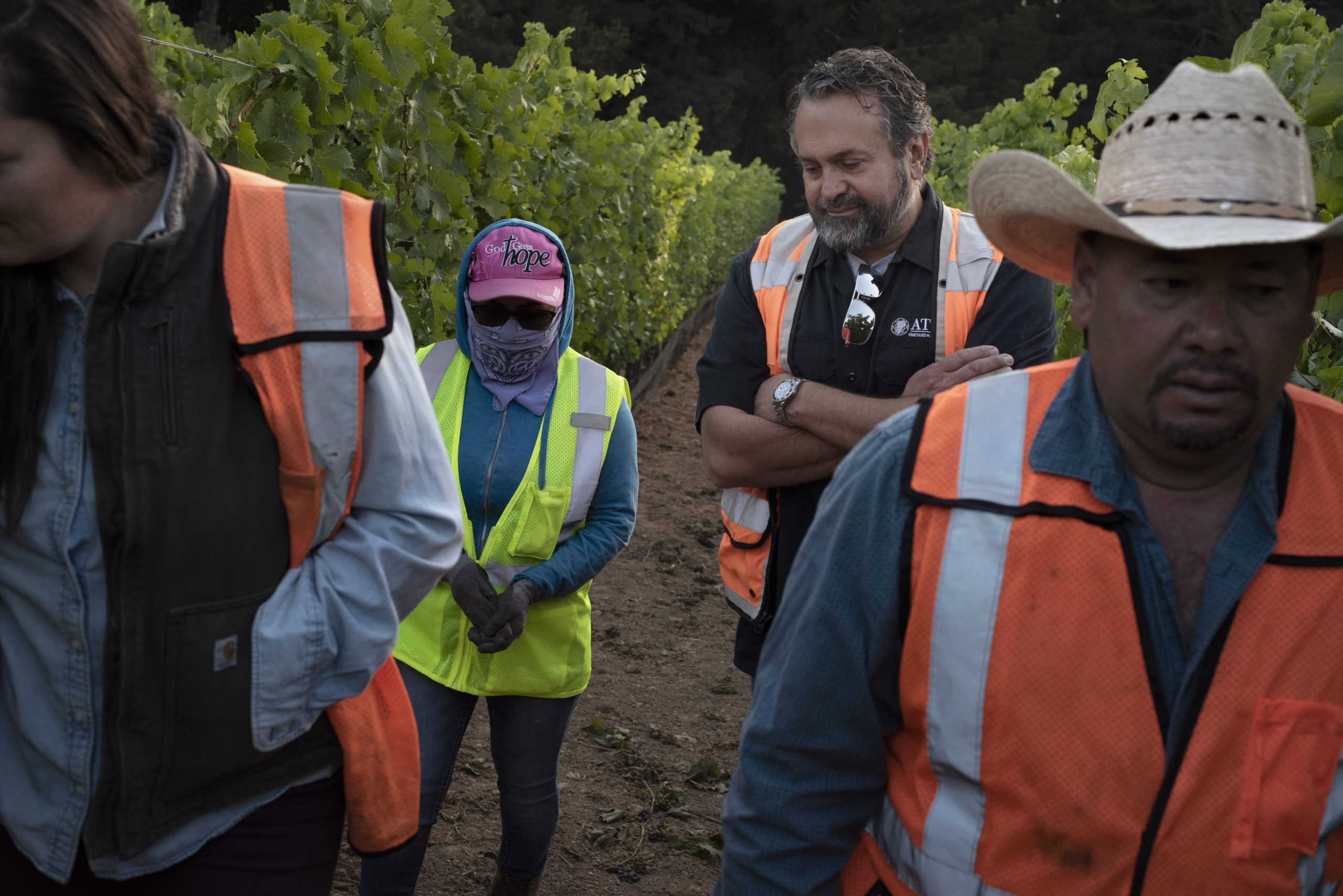 Tony Bugica, 2nd from right, director of farming and business development of Atlas Vineyard Management, checking in with crew member Maria Menara, 2nd from left, with Assistant Vineyard Manager Fermin Manzo, far right, and Assistant Director Kelly Cybulski at Cohn Vineyard in Healdsburg, California. July 23, 2021. (Photo: Erik Castro/for Sonoma Magazine)