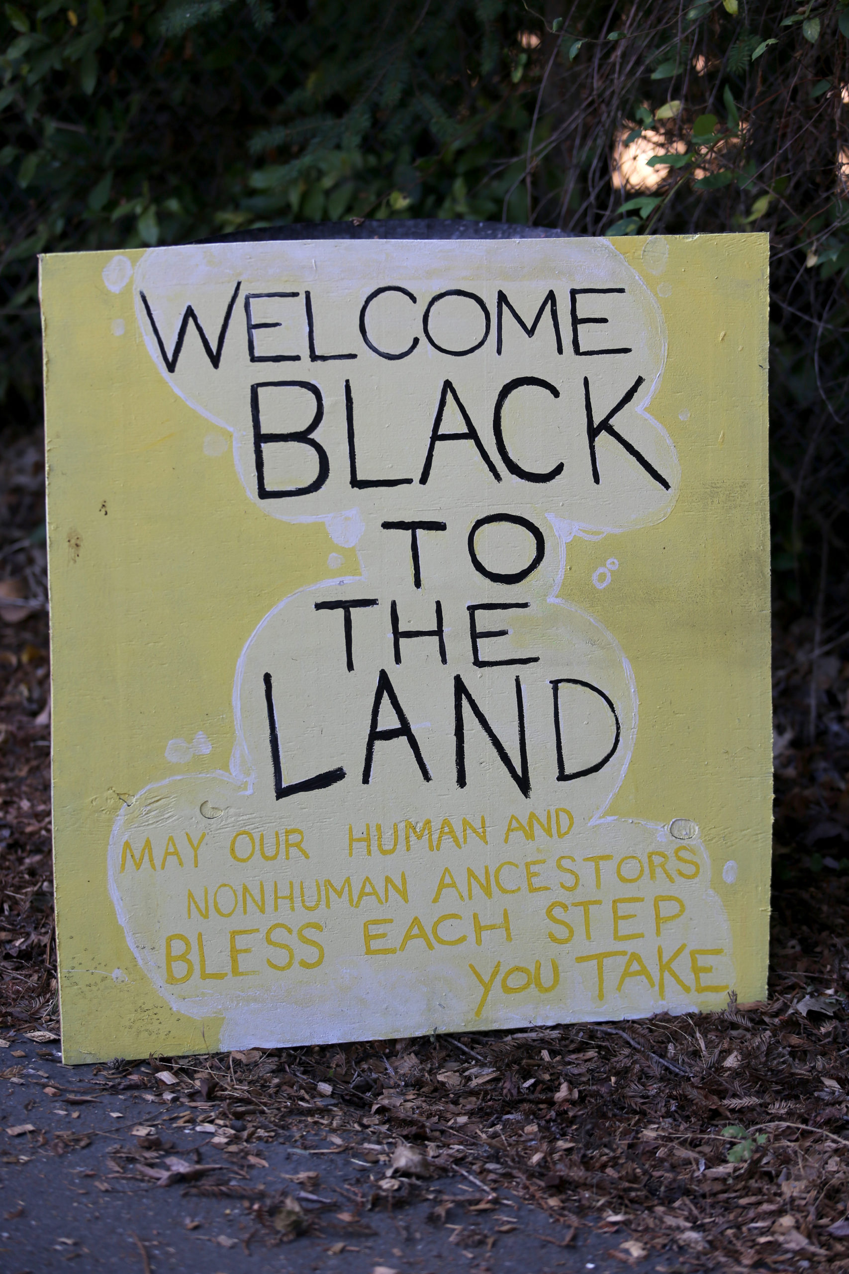 Signage by artist-in-residence, Radioactive, at EARTHseed Farm in Sebastopol, Calif., on Saturday, July 24, 2021.(Beth Schlanker/The Press Democrat)