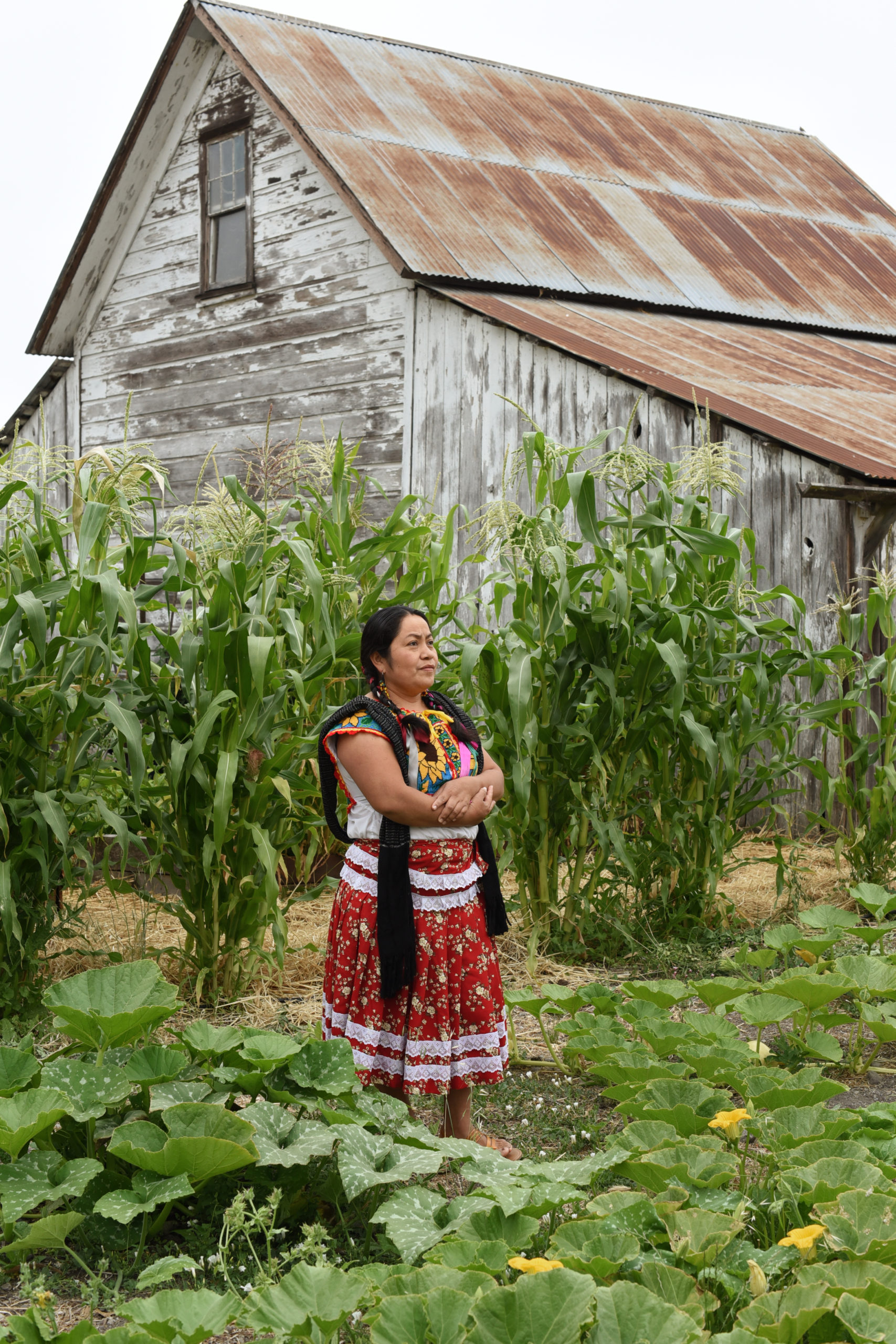 Maria Salinas, advocate and voice for the Oaxacan indigenous community and a full time member of the Movimiento Cultural de la Union Indigena, photographed at her home in Petaluma, California on July 14, 2021. (Photo: Erik Castro/for Sonoma Magazine)