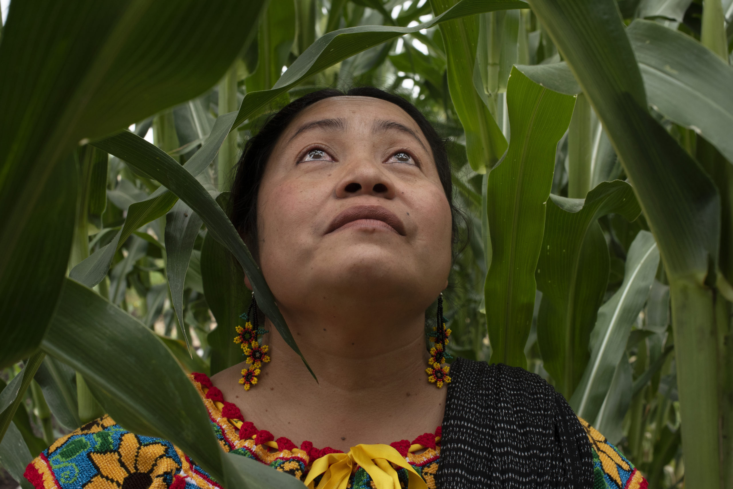 Maria Salinas, advocate and voice for the Oaxacan indigenous community and a full time member of the Movimiento Cultural de la Union Indigena, photographed at her home in Petaluma, California on July 14, 2021. (Photo: Erik Castro/for Sonoma Magazine)