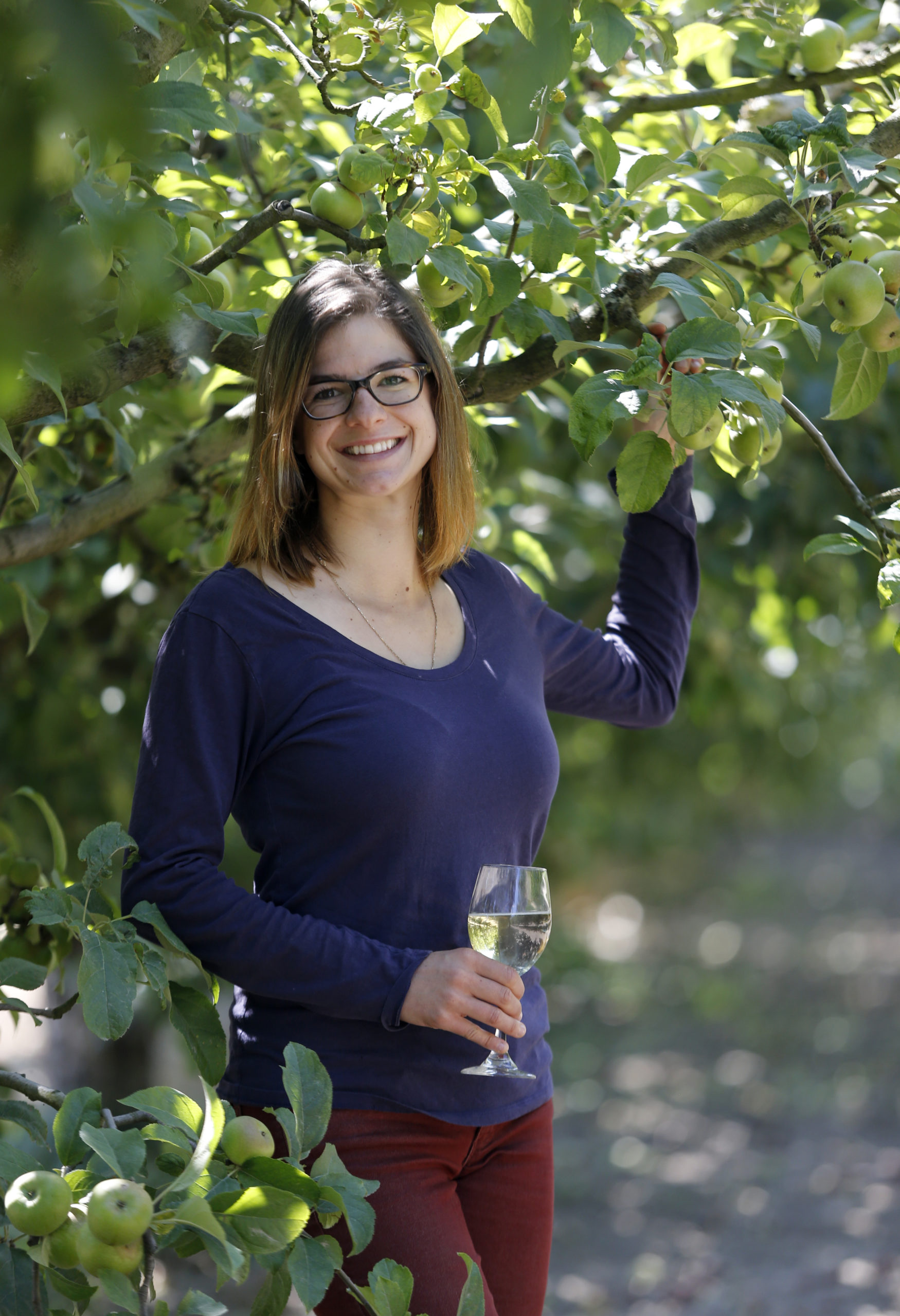 Jolie Devoto-Wade of Orchard's Estate Cider and Golden State Cider at Devoto Gardens and Orchards in Sebastopol, on Tuesday, July 21, 2015 .(BETH SCHLANKER/ The Press Democrat)