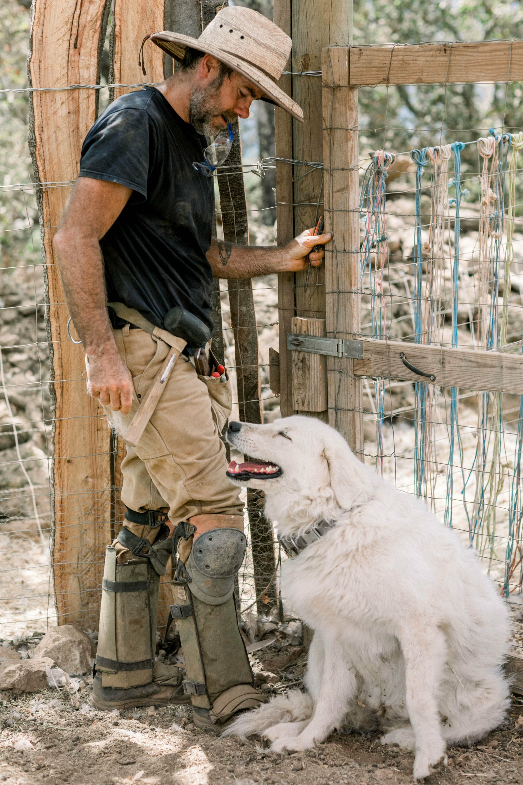 Farm manager Brandon Brédo with livestock guardian dog Scout. Below, the winery’s new outdoor tasting platforms were built with lumber milled from trees that were removed for fire safety. (Eileen Roche/for Sonoma Magazine)