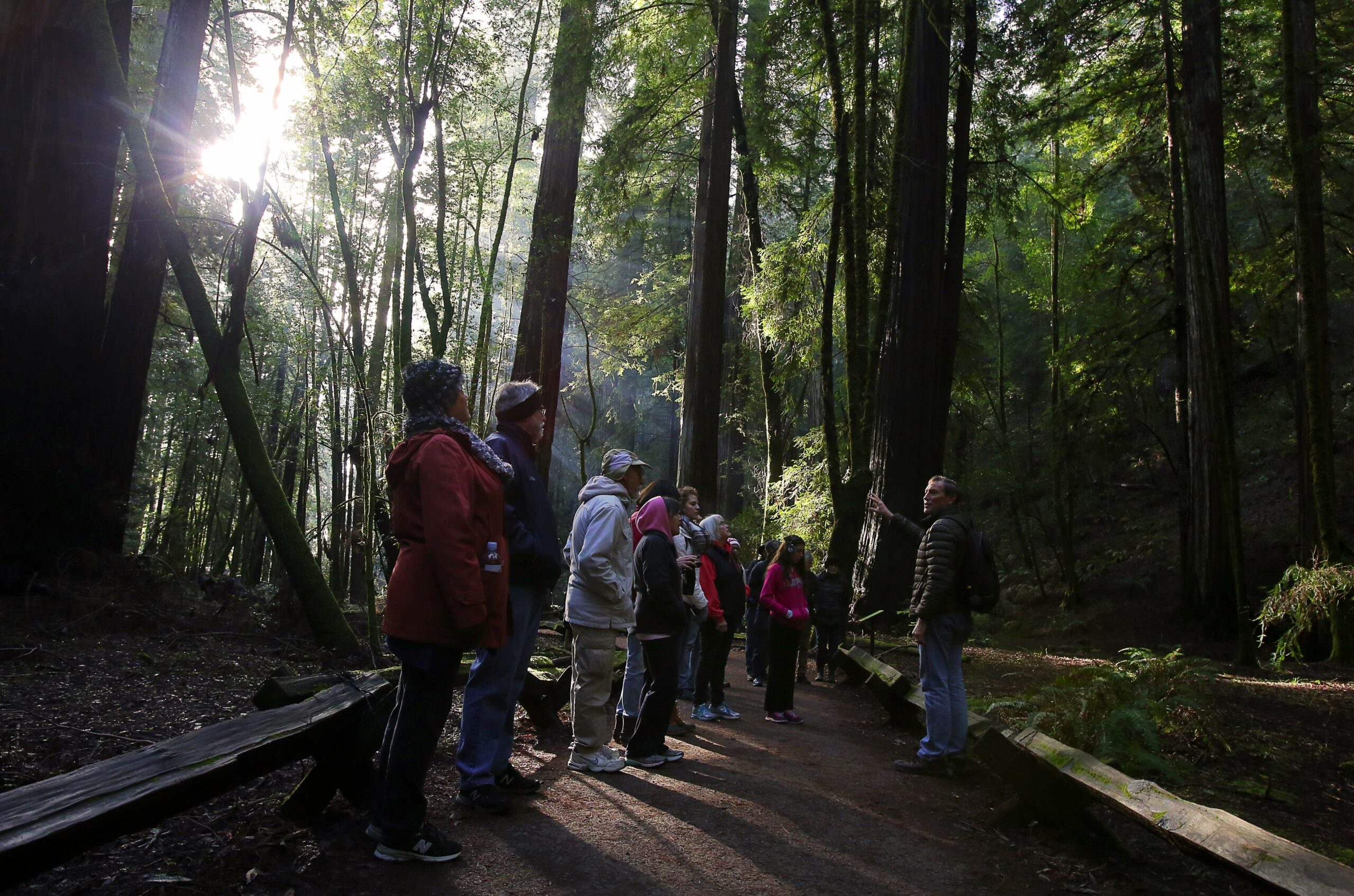 Stewards of the Coast and Redwoods volunteer Glen Blackley, right, leads a group hike on a New Year's Day tour of Armstrong Woods State Natural Reserve, on Sunday, January 1, 2017. (Christopher Chung / The Press Democrat)