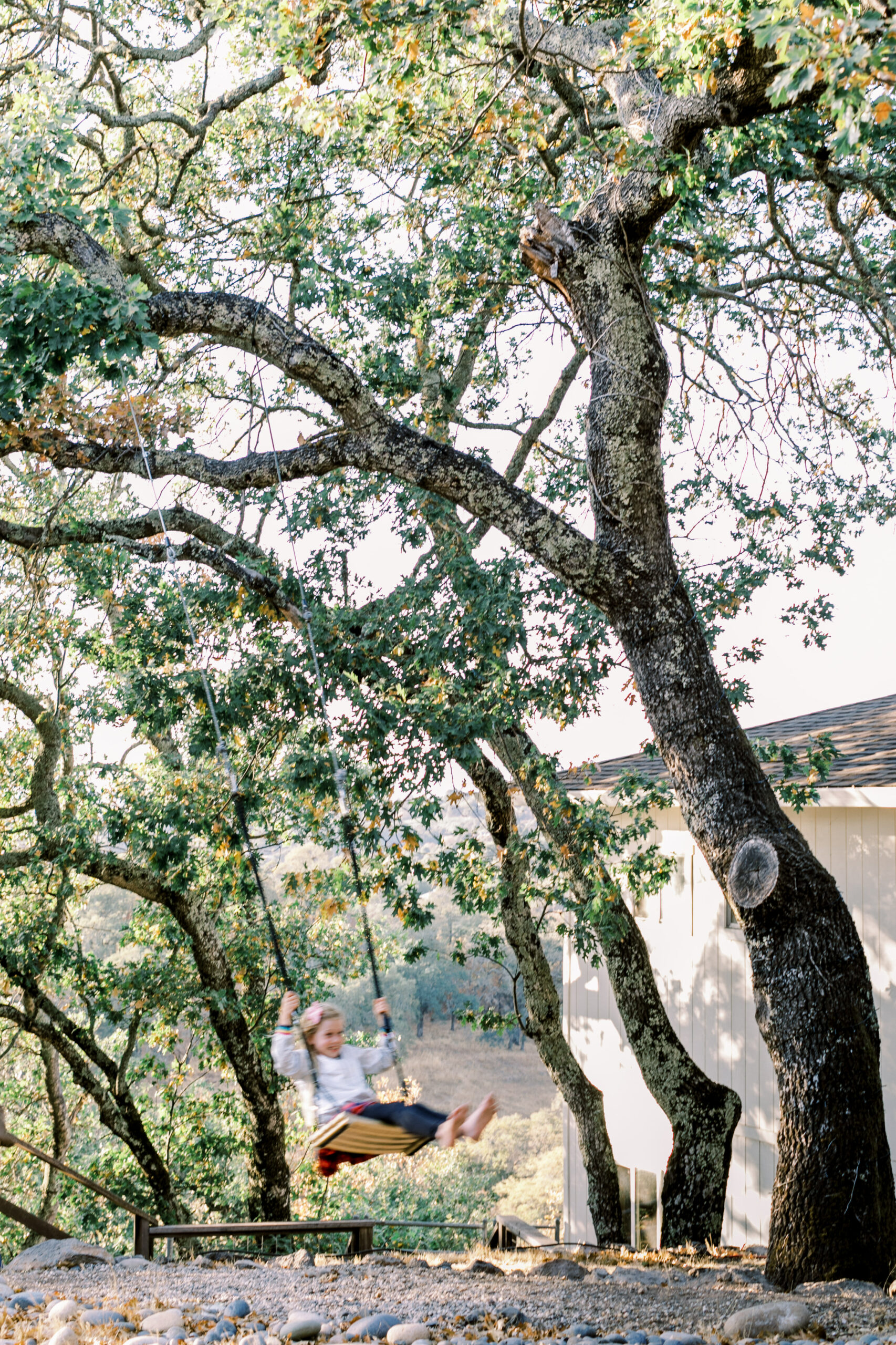 Mica on her swing. (Eileen Roche/for Sonoma Magazine)