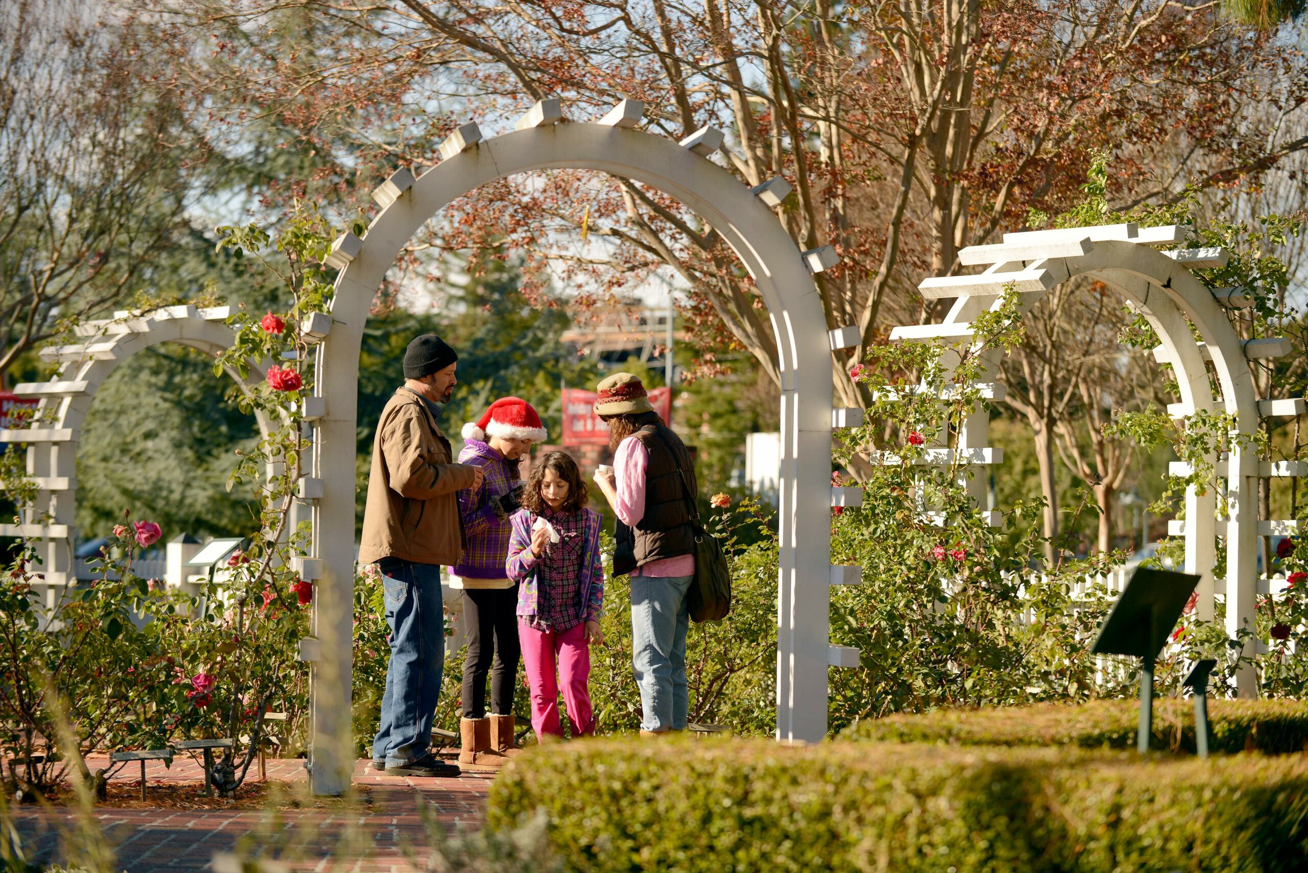12/8/2013: B6: The Duran family, including Jason, left, Emma, 10, Laura, 8, and Jennifer, enjoys spiced hot tea and cookies Saturday in the rose garden at the Luther Burbank Home & Gardens in Santa Rosa during the historical landmarkís annual Holiday Open House.PC: The Duran Family, Jason, left, Emma, 10, Laura, 8, and Jennifer, enjoys spiced hot tea and cookies in the rose garden during the Holiday Open House at the Luther Burbank Home and Garden in Santa Rosa, Calif., on December 7, 2013. (Alvin Jornada / The Press Democrat)