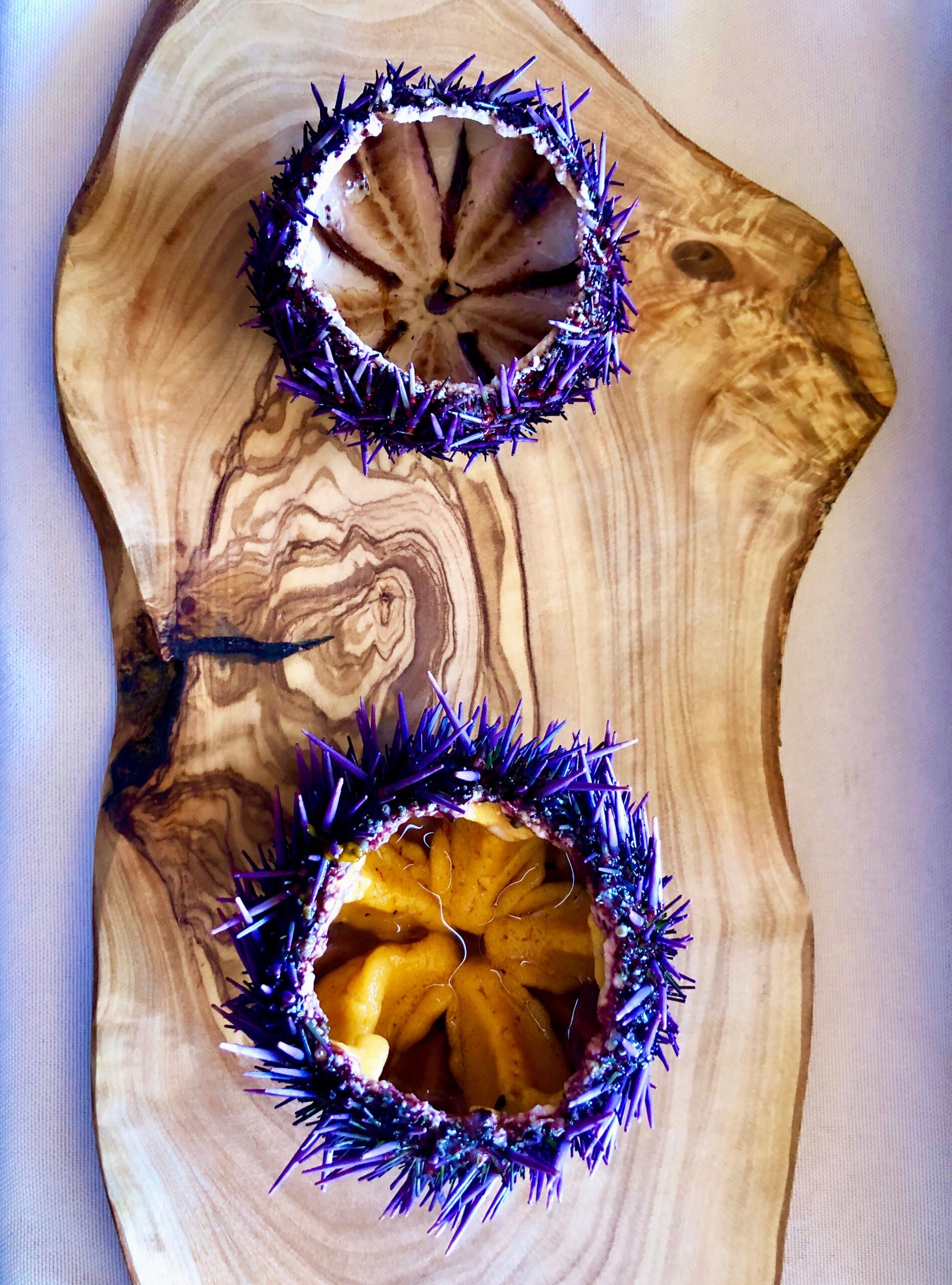Sweet and briny, the orange roe of purple sea urchins is a prized ingredient for North Coast chefs. courtesy Urchinomics